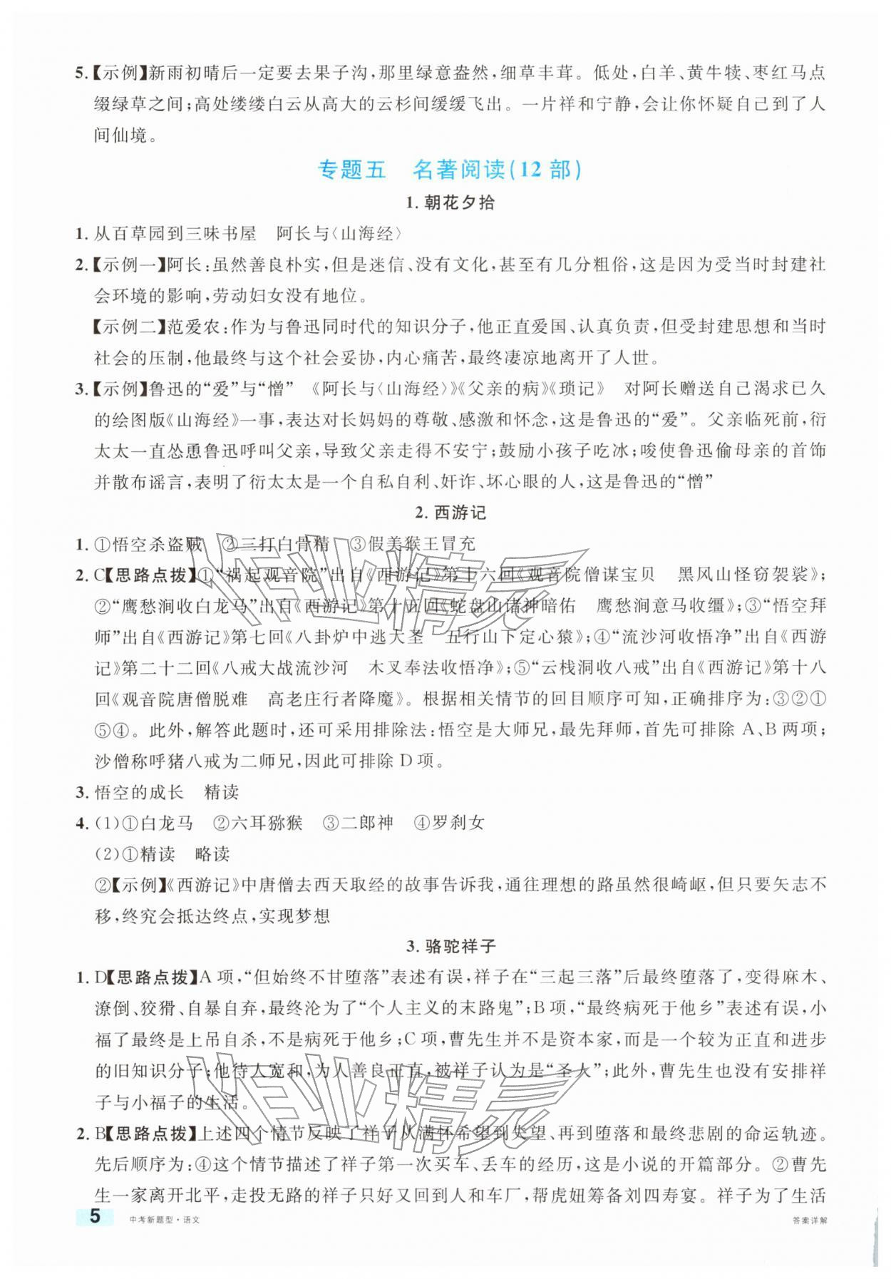 2026年中考新题型语文&nbsp;第6页