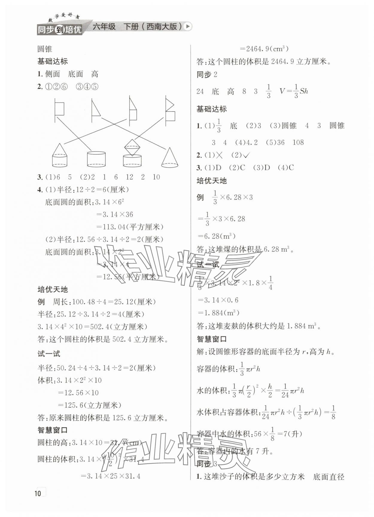 2025年數學愛好者同步到培優六年級下冊西師大版 第10頁