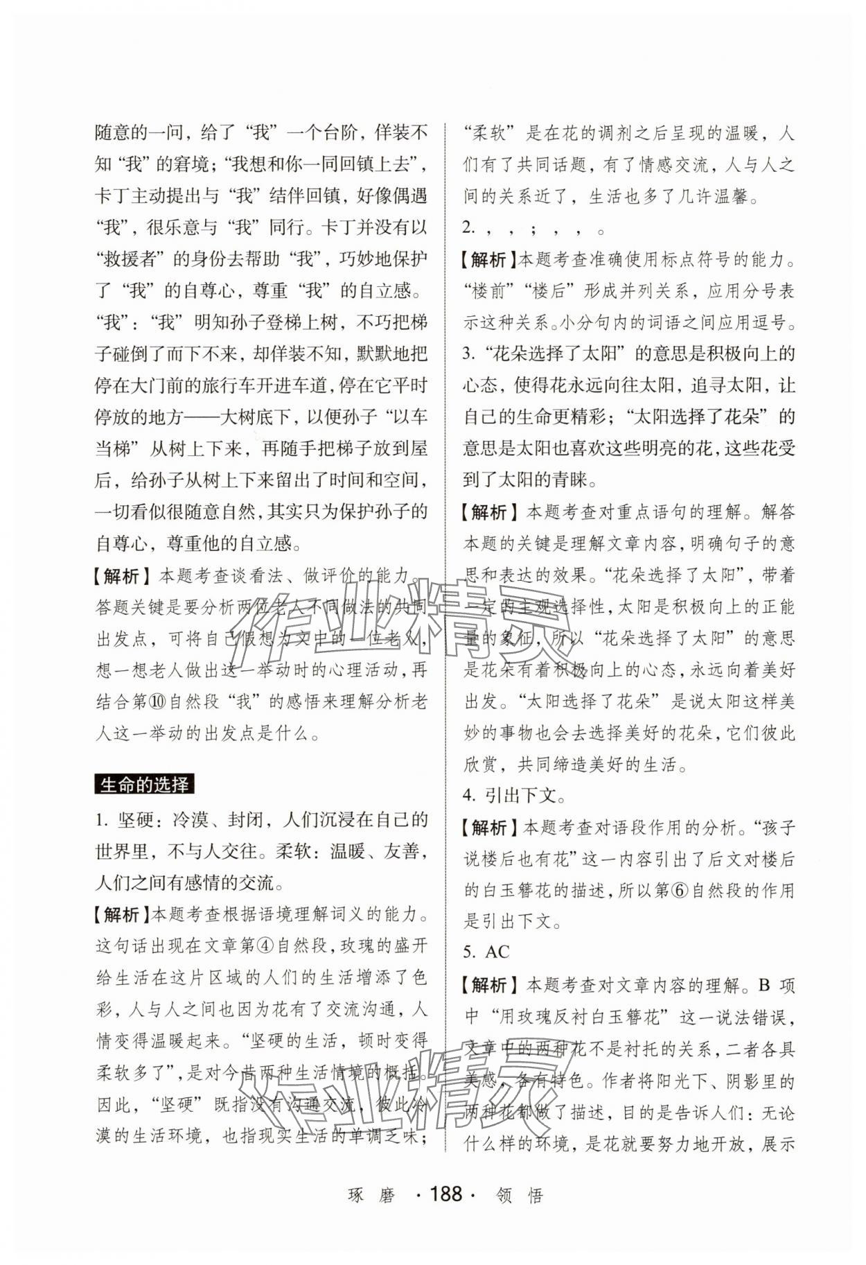 2025年小学语文考试阅读真题精选专练详解六年级 第2页