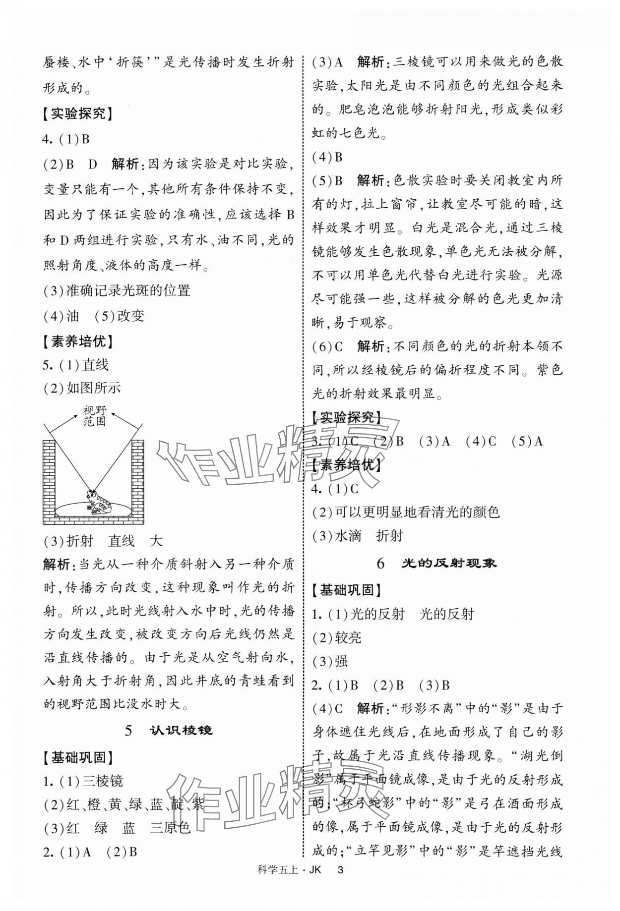 2025年經(jīng)綸學典提高班五年級科學上冊教科版 第3頁
