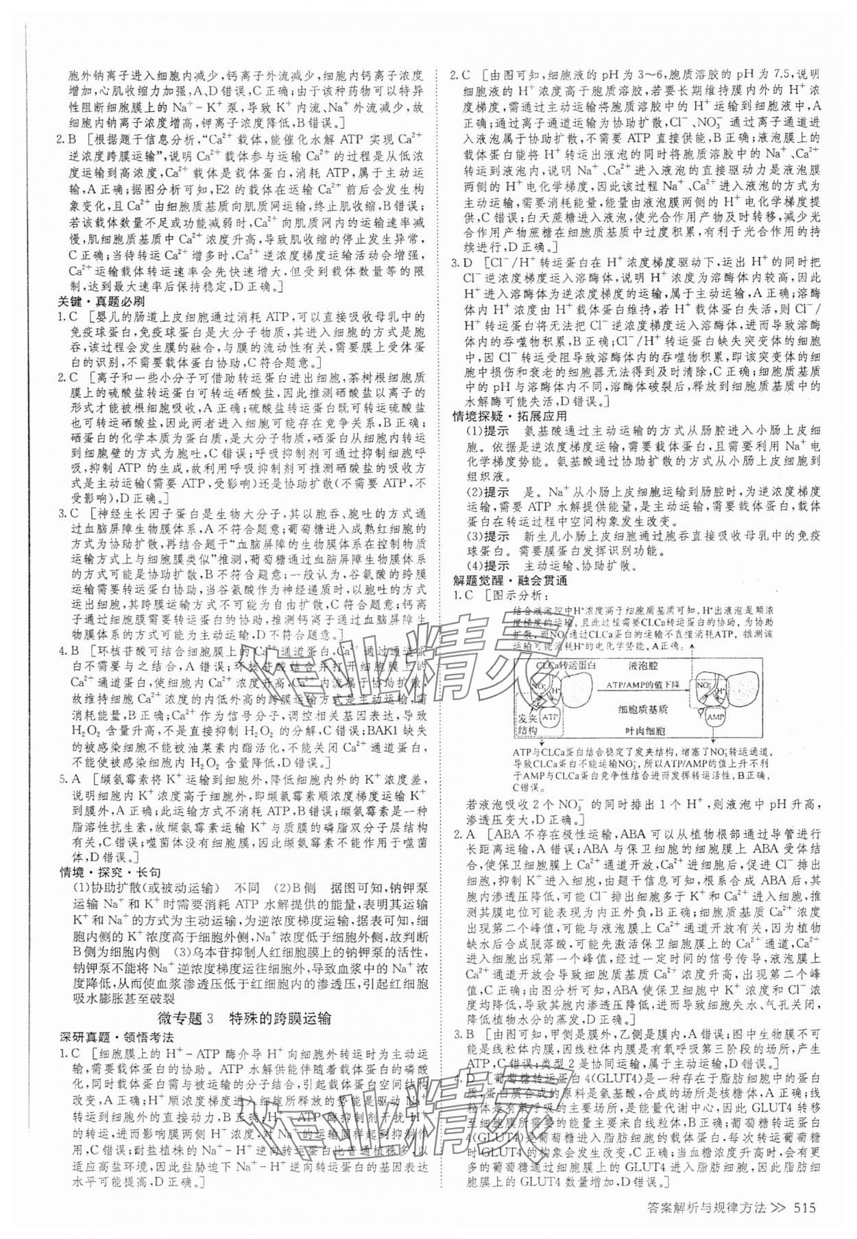 2025年創新設計高考總復習高中生物 參考答案第9頁