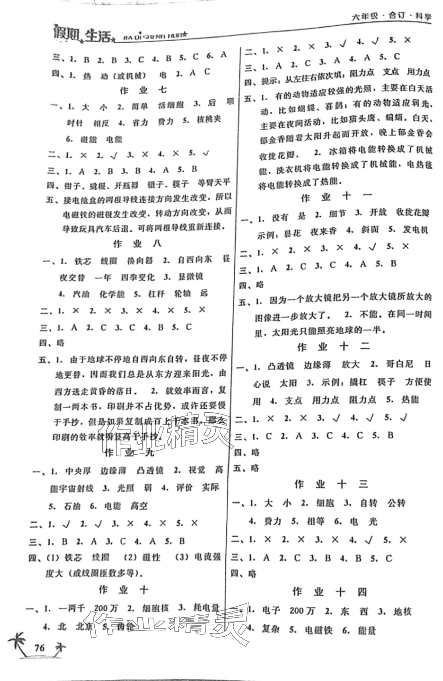 2024年假期生活方圆电子音像出版社六年级综合 第2页