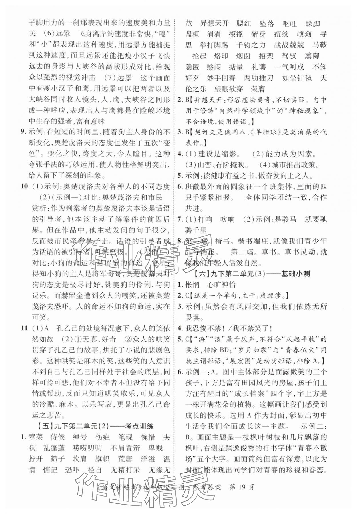 2025年语文讲练考九年级全一册人教版 第19页