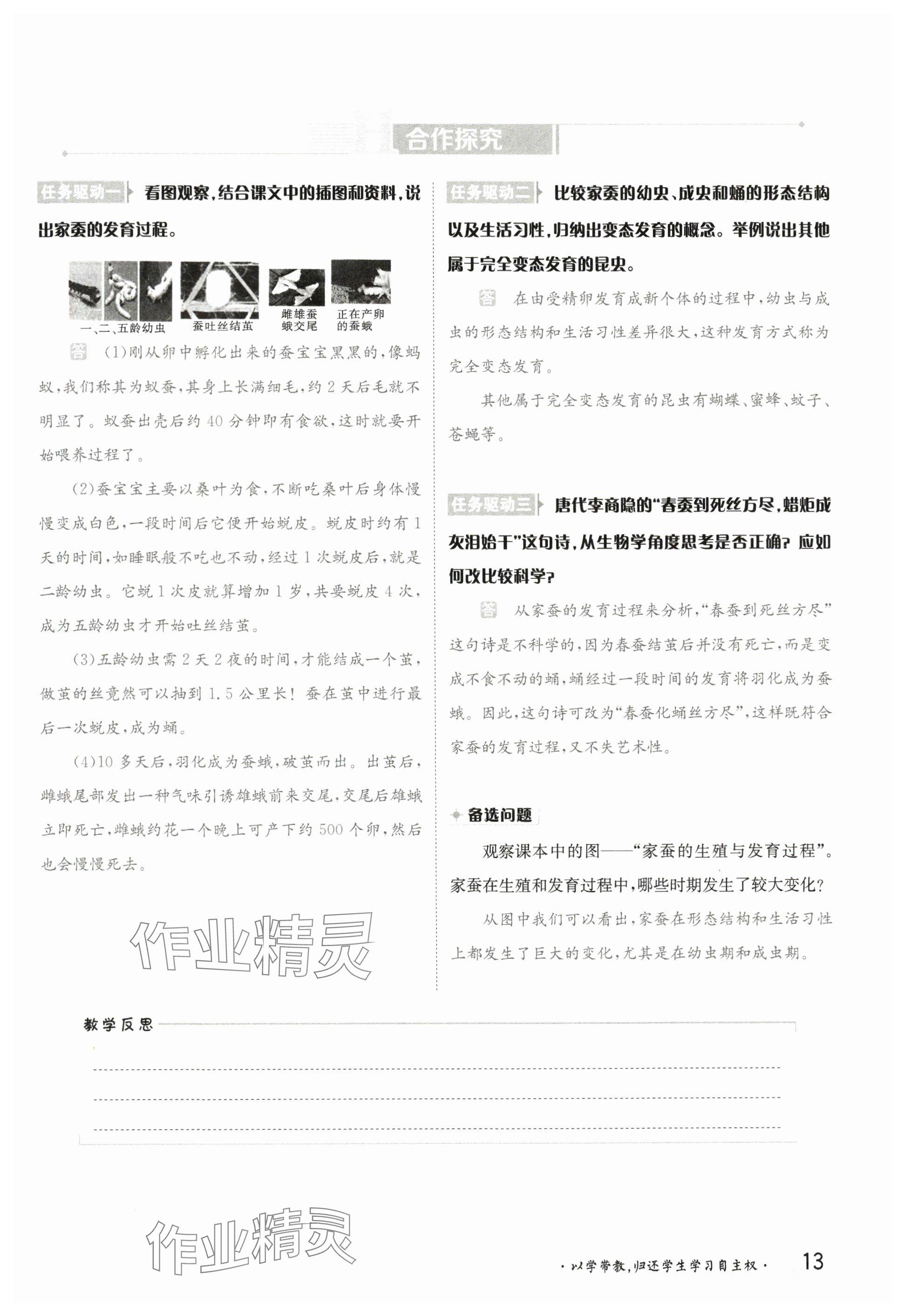 2025年金太陽導學案八年級生物下冊蘇教版 參考答案第12頁