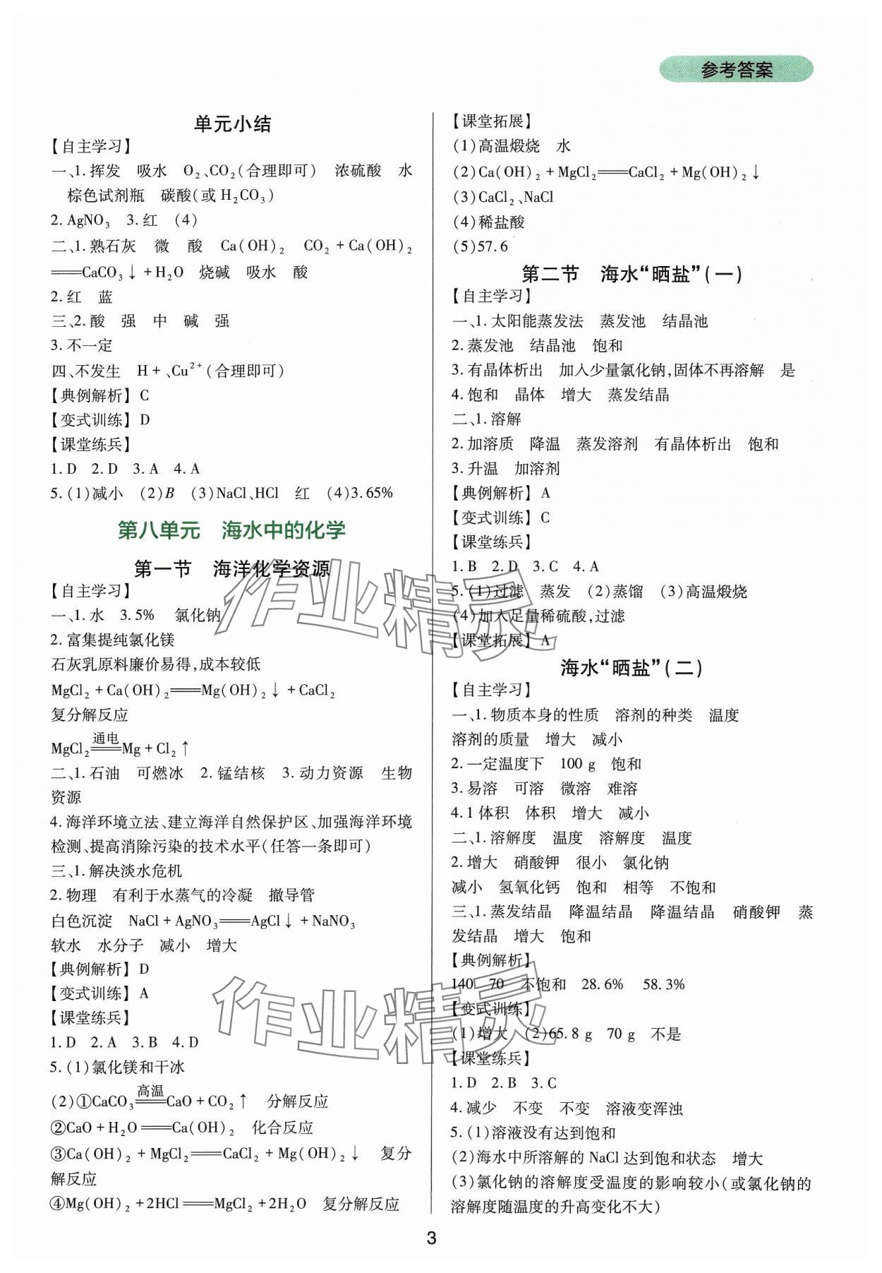 2024年新课程实践与探究丛书九年级化学下册鲁教版 第3页