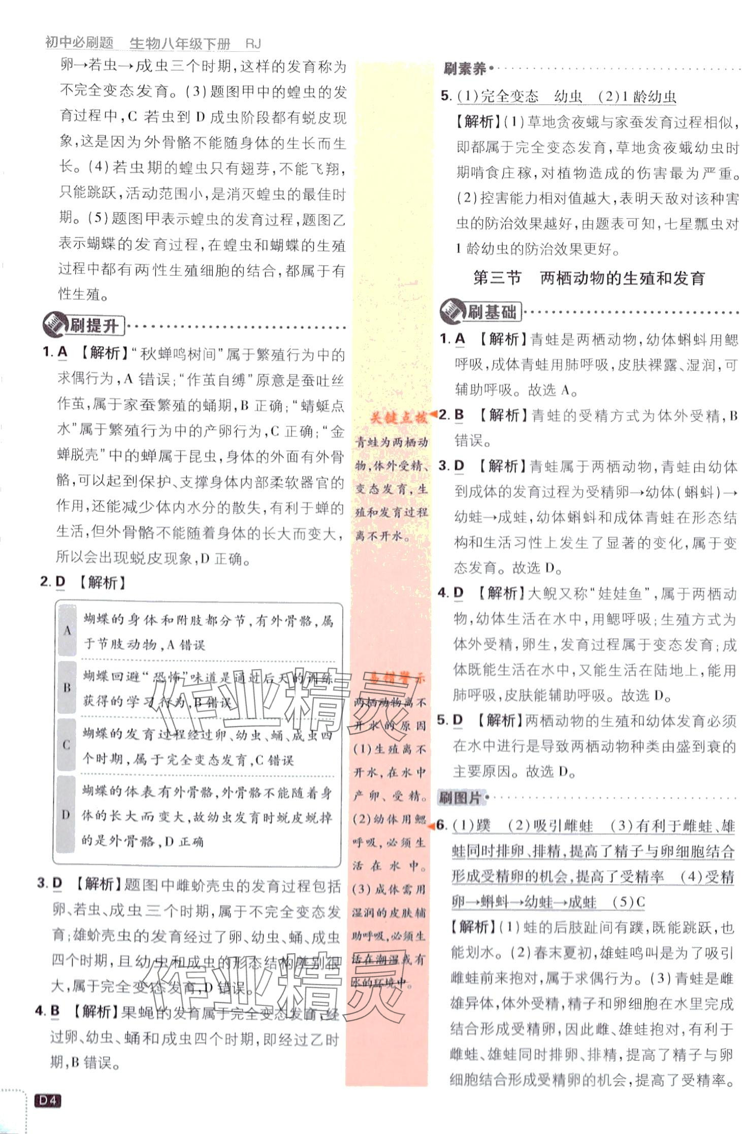 2024年初中必刷题八年级生物下册人教版 第4页