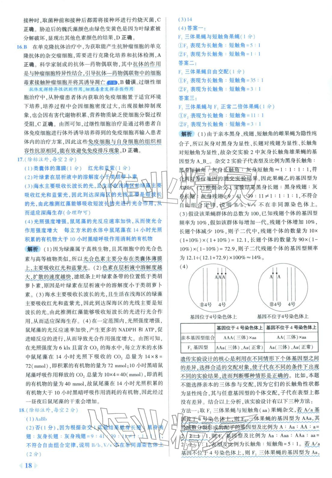 2026年53金卷优选卷汇编高中生物陕晋青宁专版&nbsp;第18页