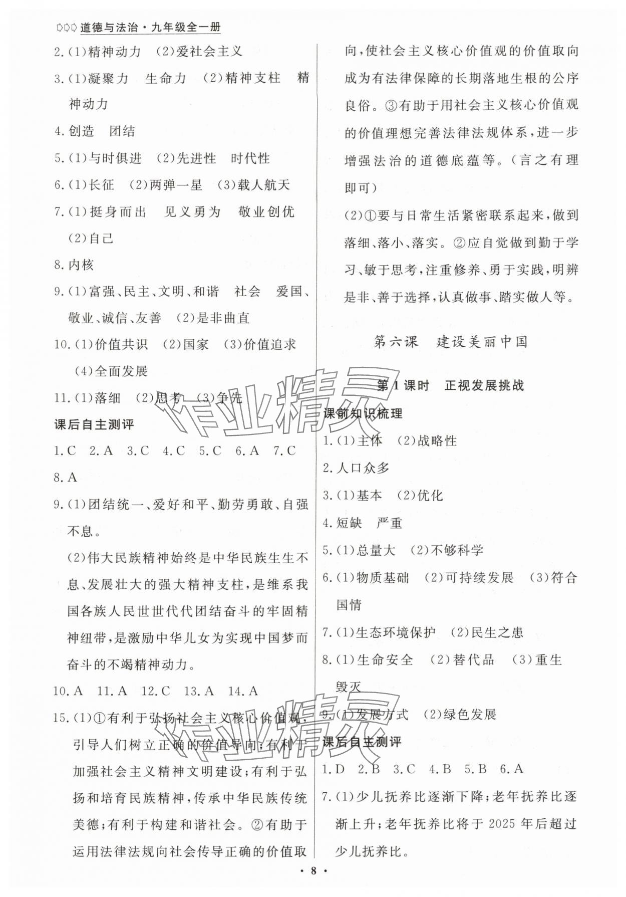 2025年学生成长册九年级道德与法治全一册人教版 参考答案第8页