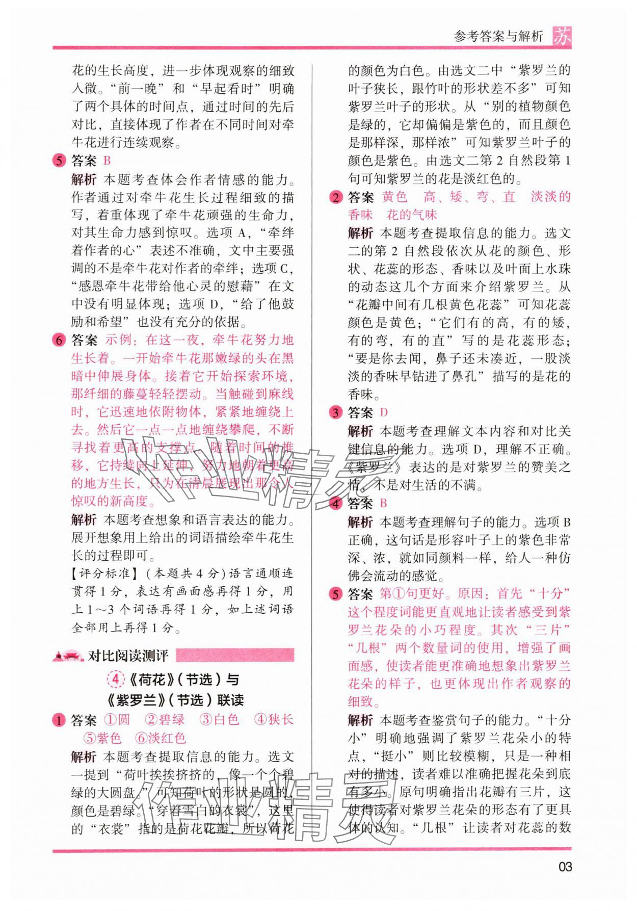 2025年木頭馬閱讀力測評三年級語文下冊人教版江蘇專版 第3頁