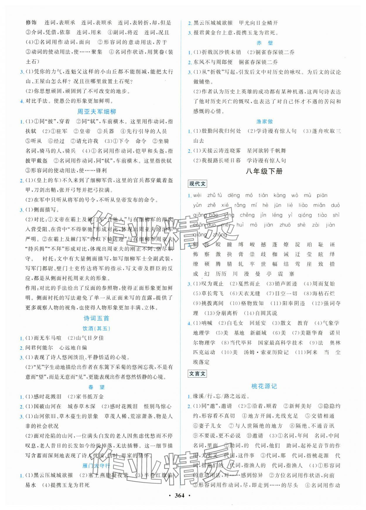 2024年初中總復(fù)習(xí)山東文藝出版社語文淄博專版 第8頁