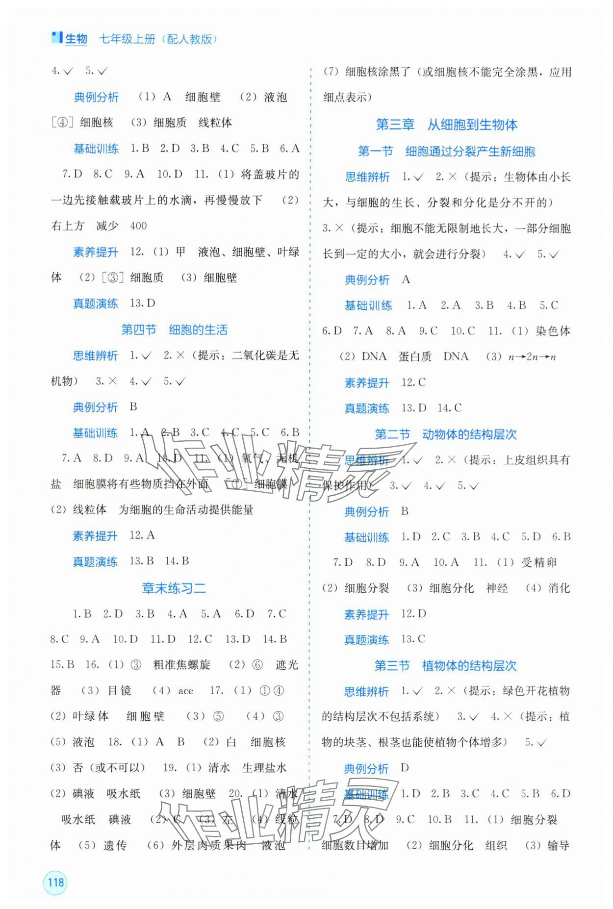 2025年自主学习能力测评七年级生物上册人教版 第2页