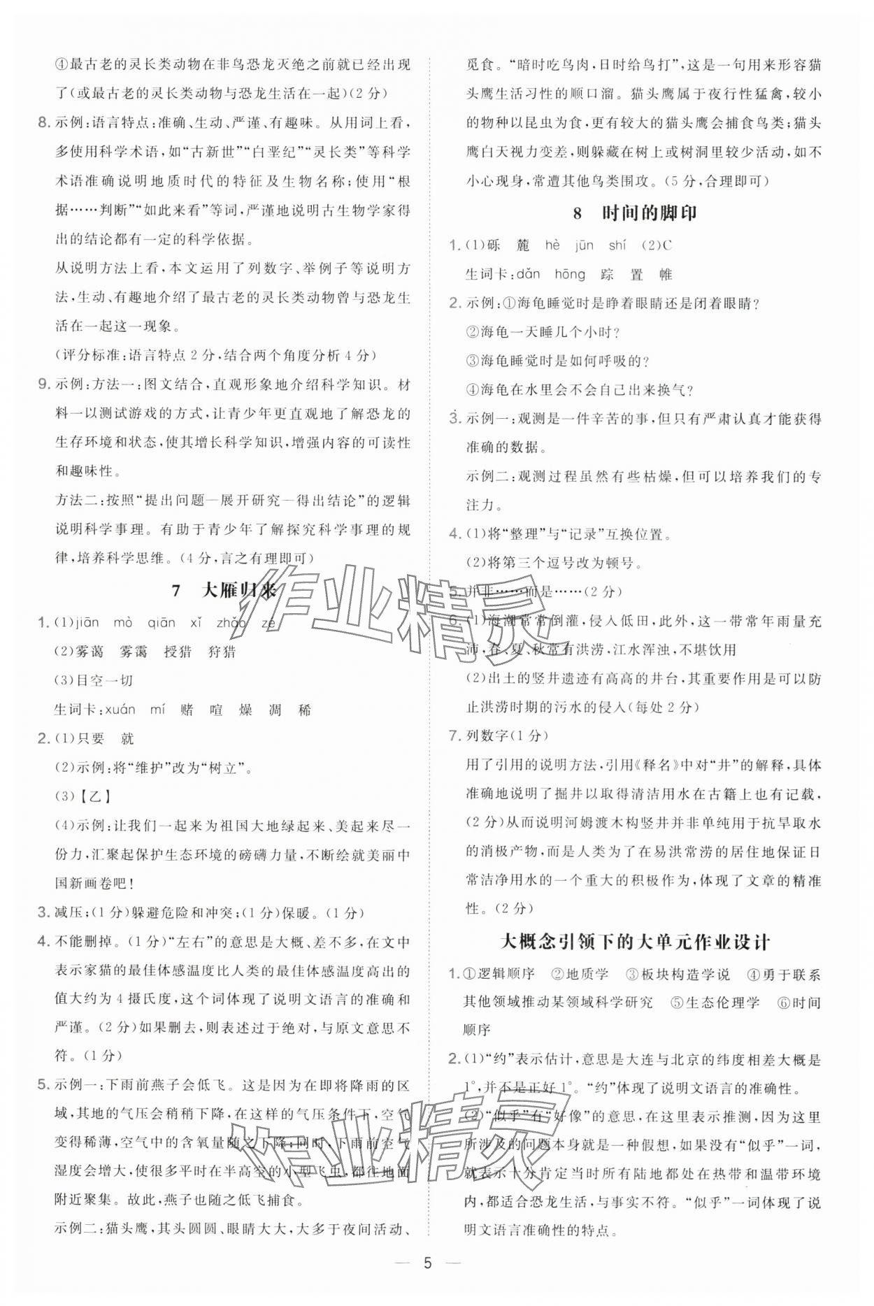 2025年點(diǎn)撥訓(xùn)練八年級語文下冊人教版 參考答案第5頁