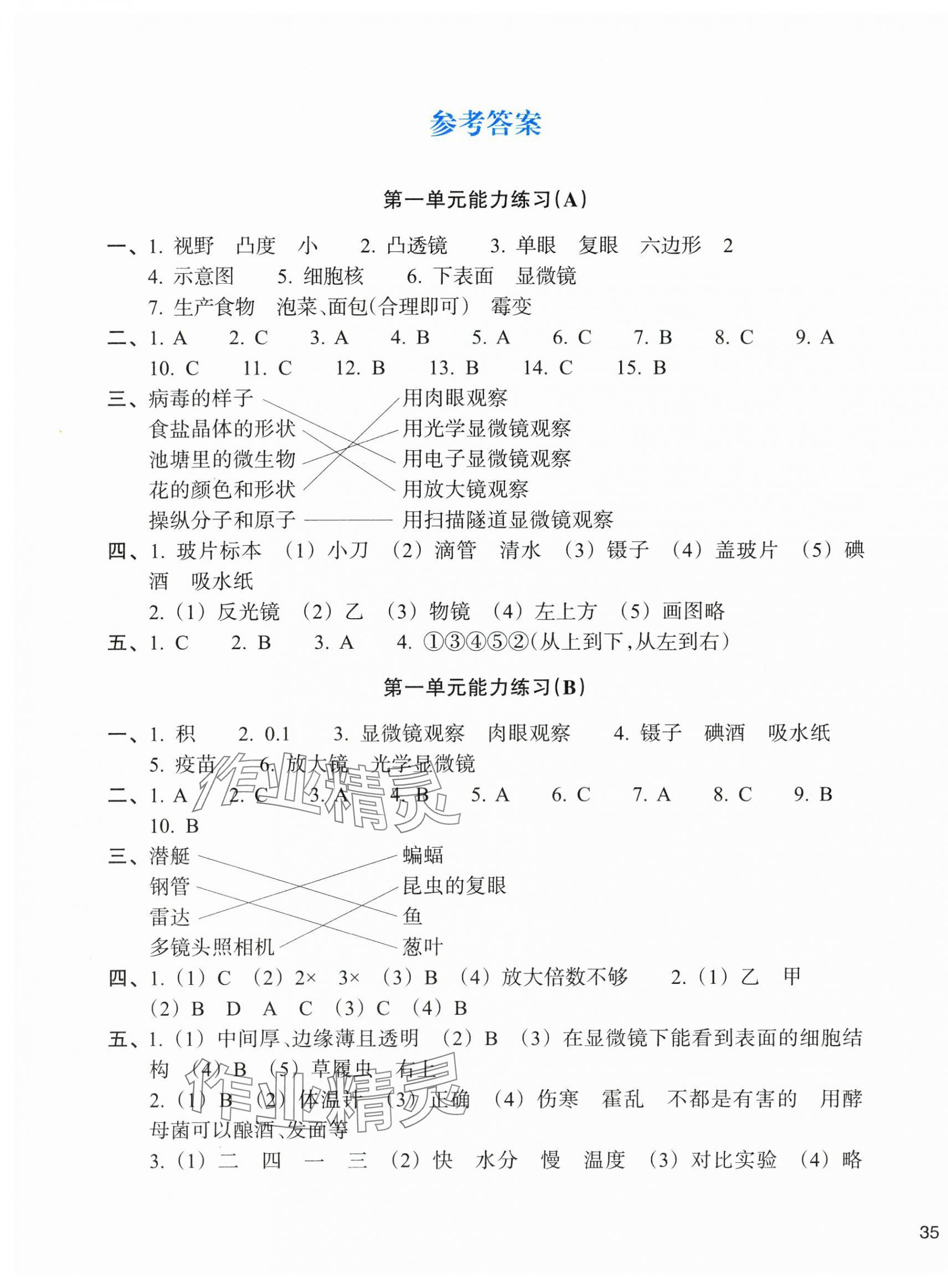 2024年新编单元能力训练卷六年级科学上册教科版 第1页