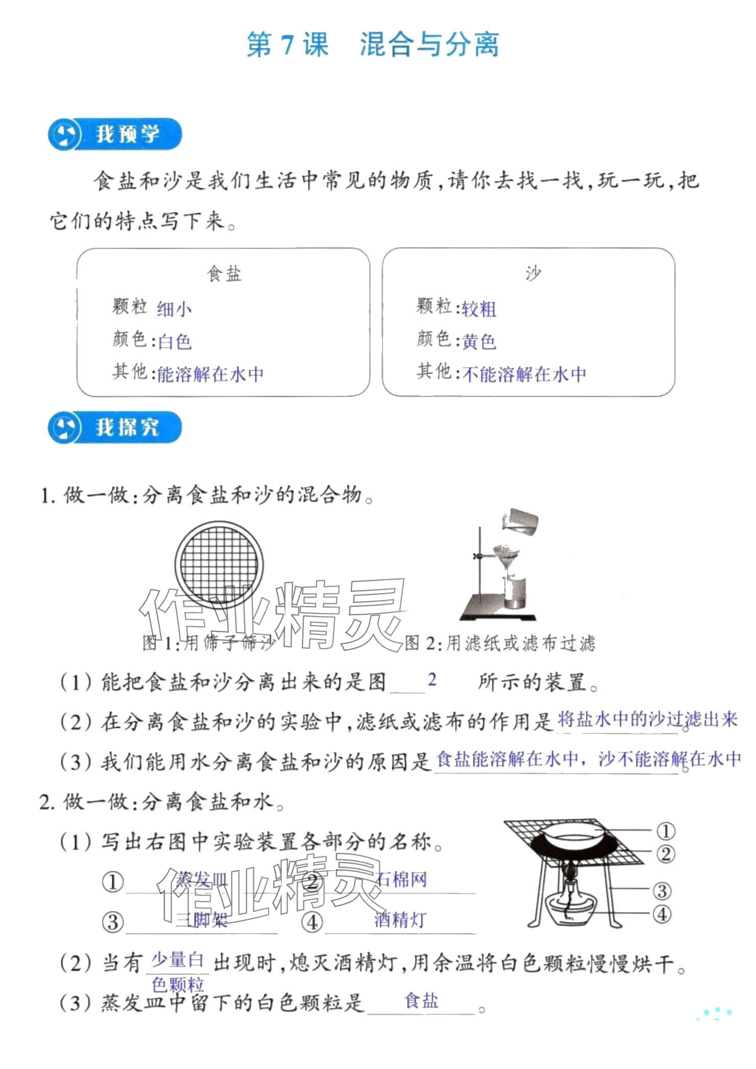 2024年预学与导学三年级科学上册教科版 参考答案第13页