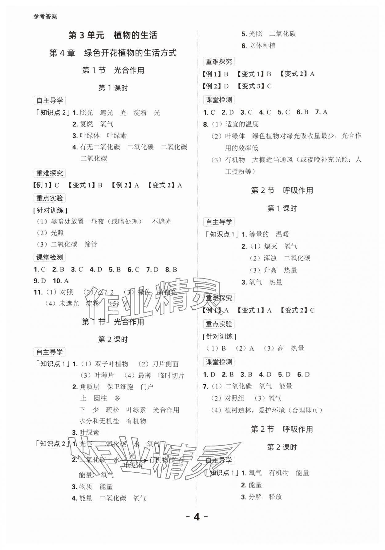 2024年全程突破七年級(jí)生物上冊(cè)北師大版 第4頁(yè)