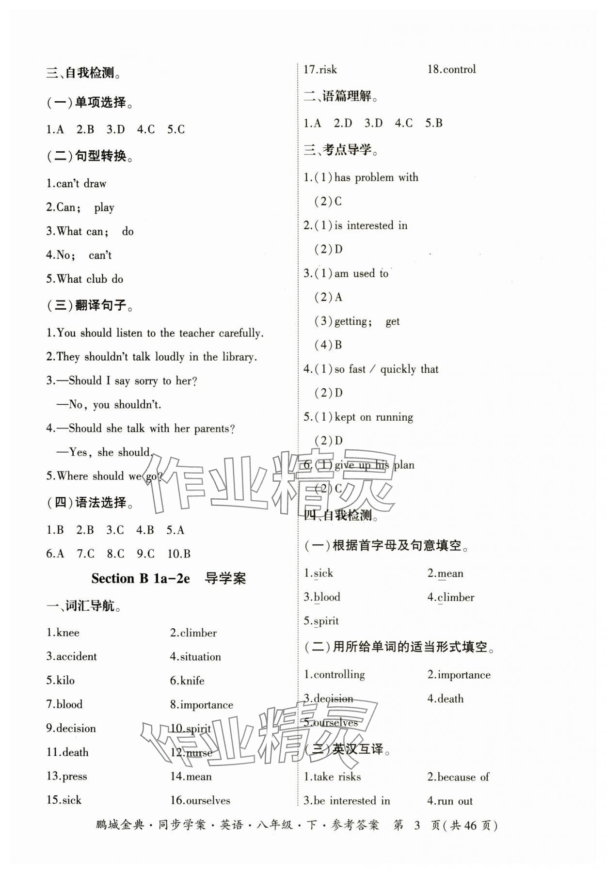 2025年名師幫同步學案八年級英語下冊人教版 參考答案第3頁
