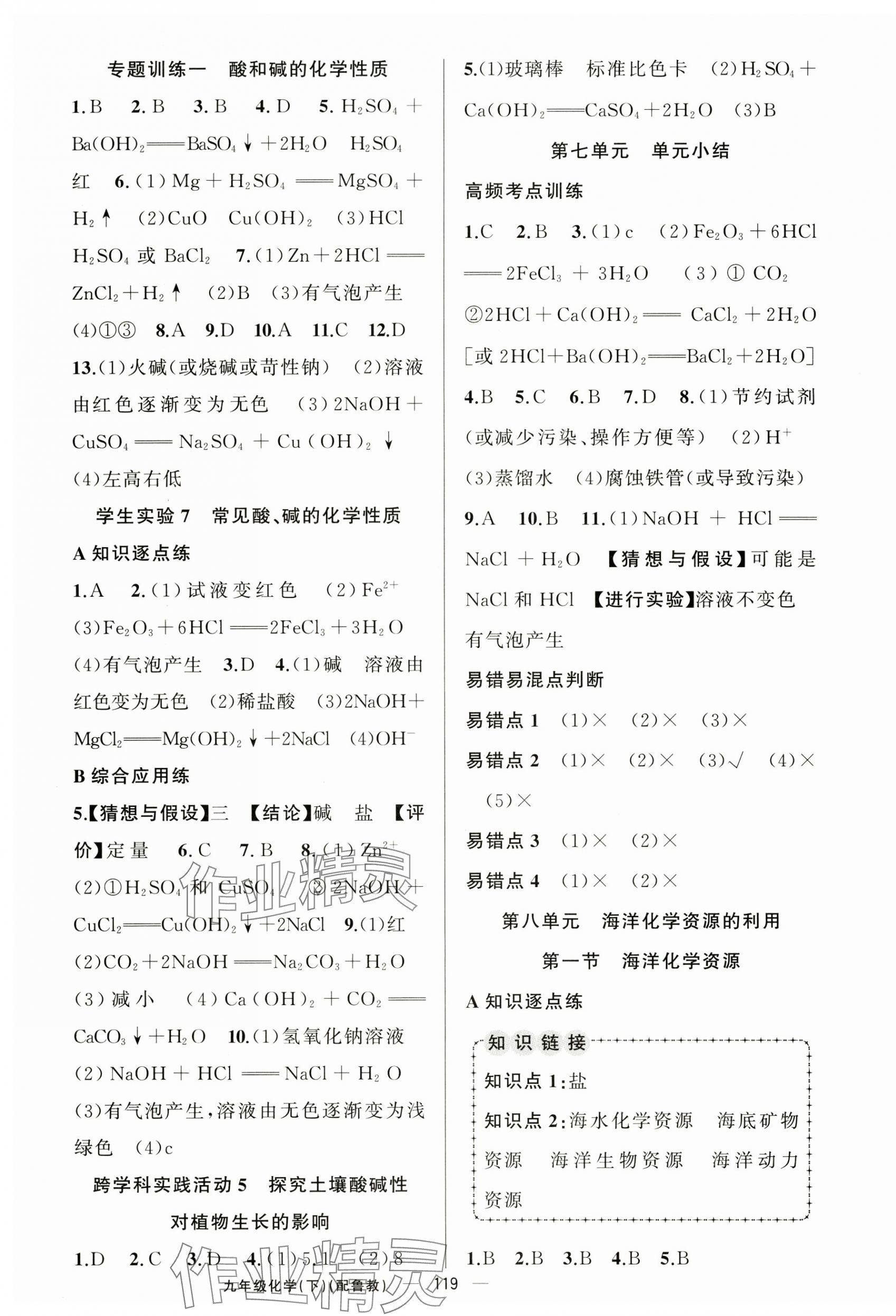 2025年黃岡金牌之路練闖考九年級化學下冊魯教版 第3頁