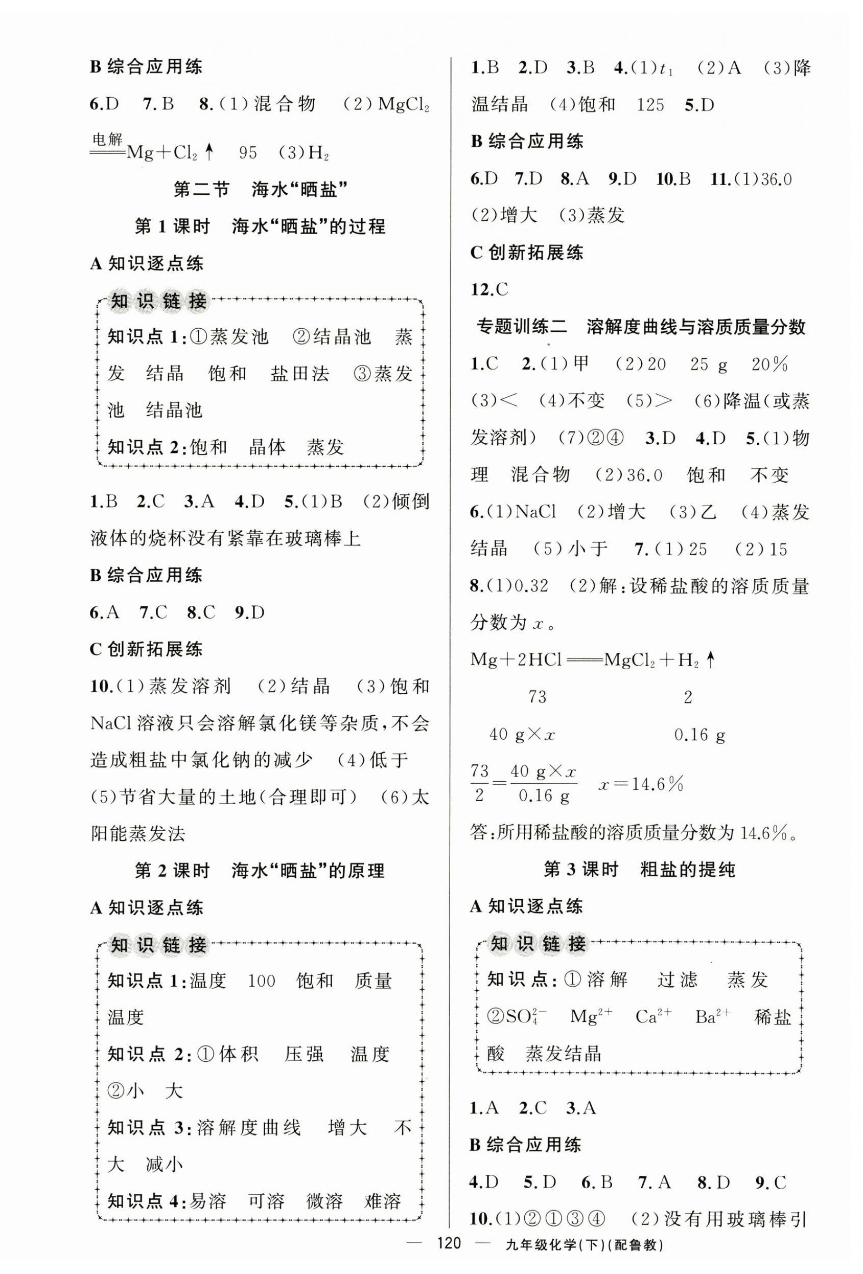 2025年黃岡金牌之路練闖考九年級(jí)化學(xué)下冊(cè)魯教版 第4頁(yè)