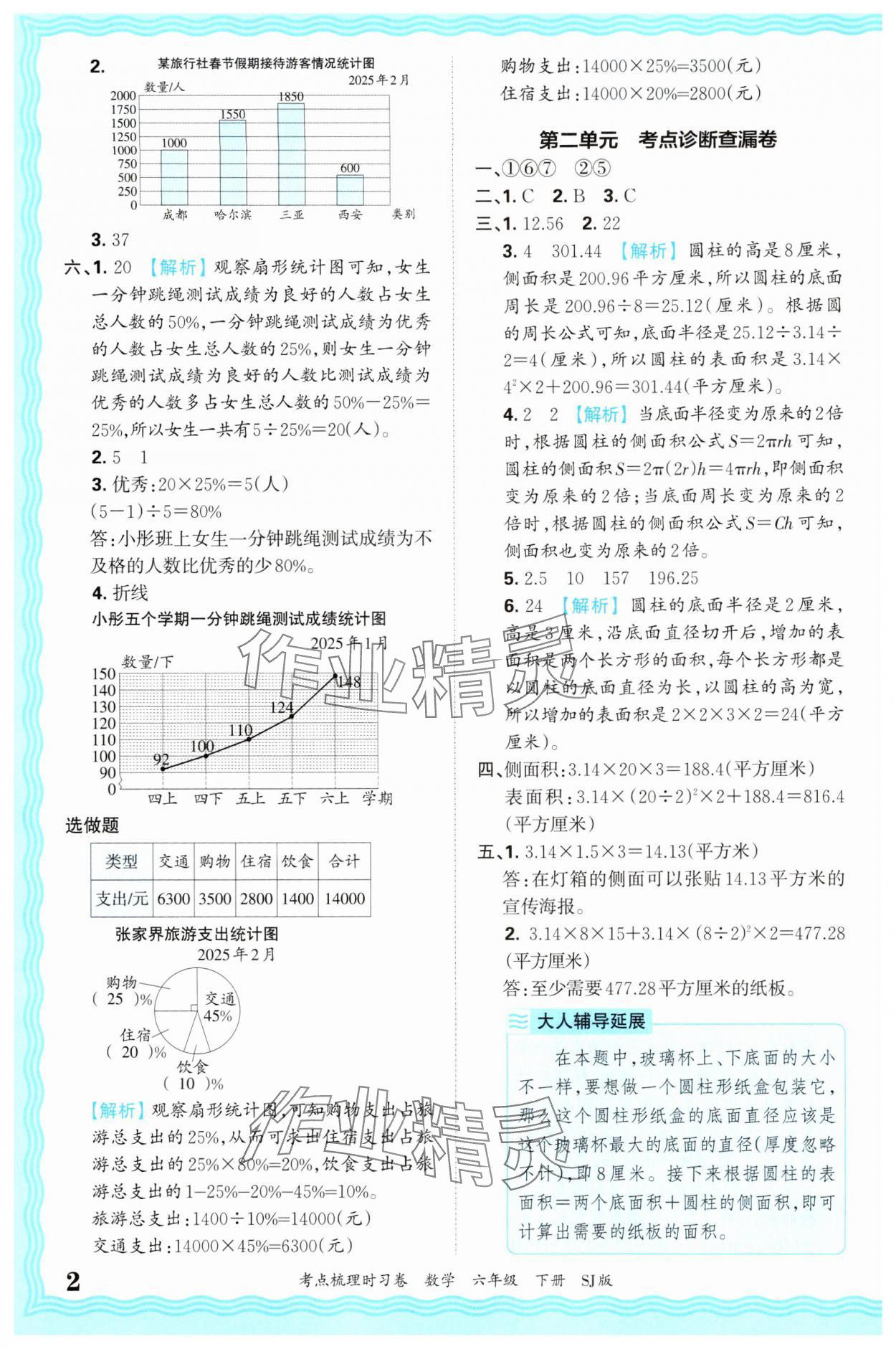 2025年王朝霞考点梳理时习卷六年级数学下册苏教版 第2页