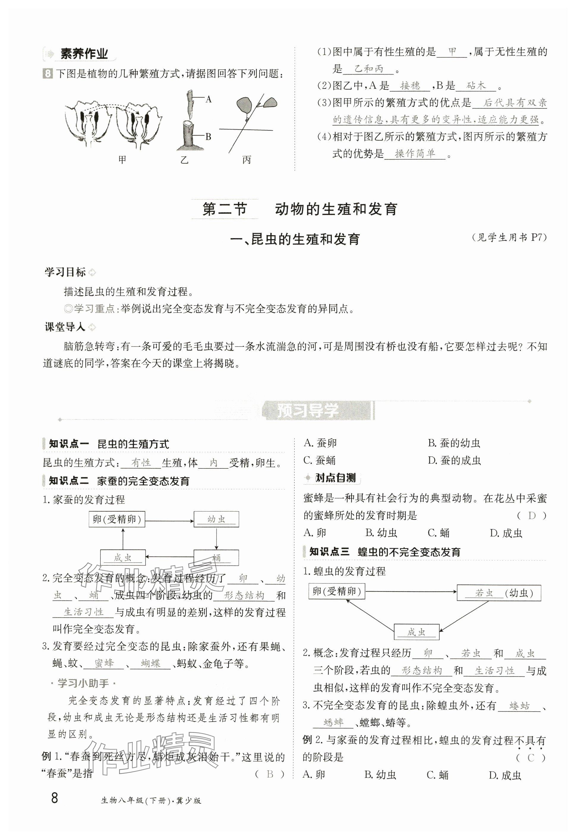 2025年金太陽導(dǎo)學(xué)案八年級生物下冊冀少版 參考答案第8頁