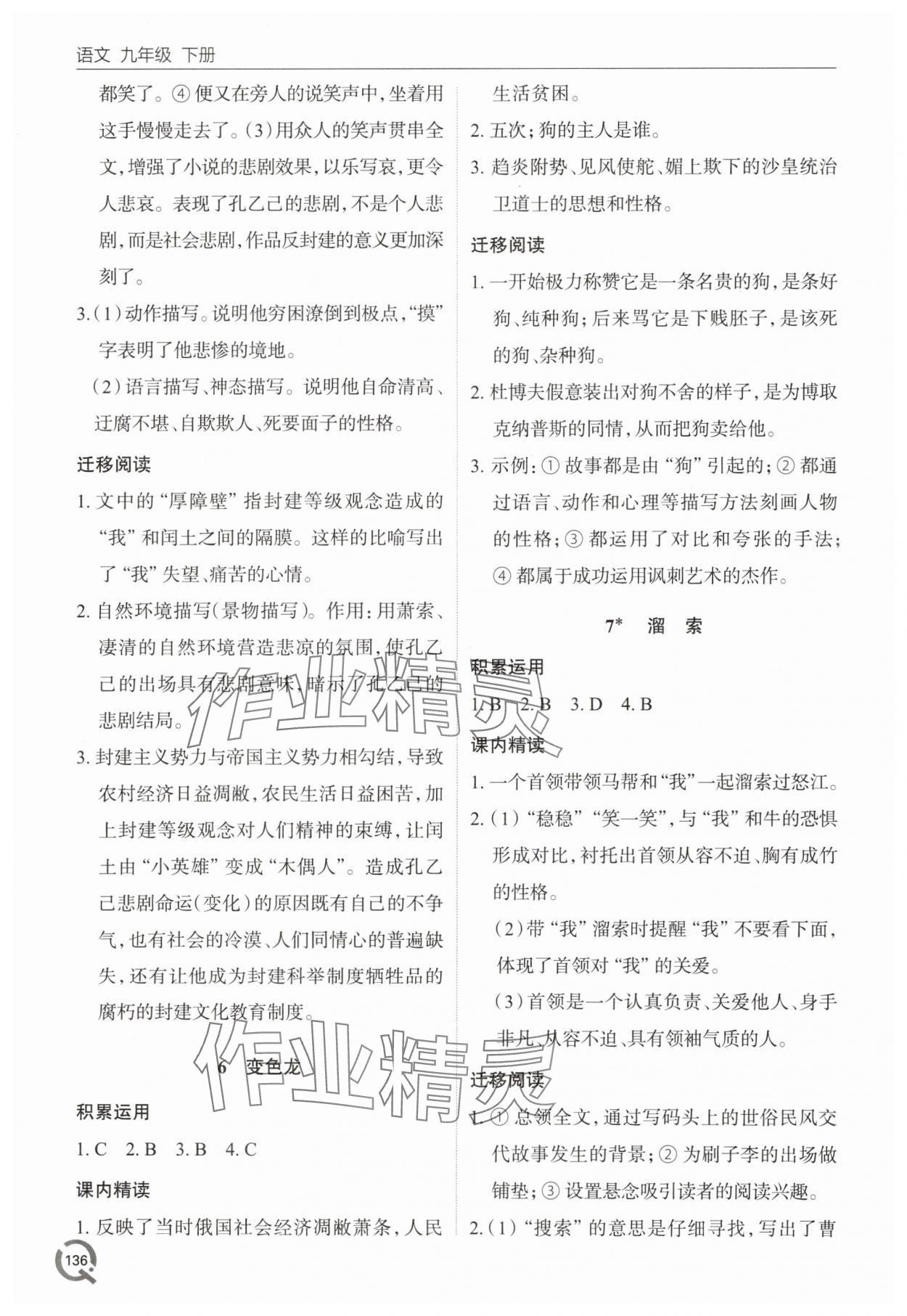2025年同步練習(xí)冊青島出版社九年級語文下冊人教版 第4頁