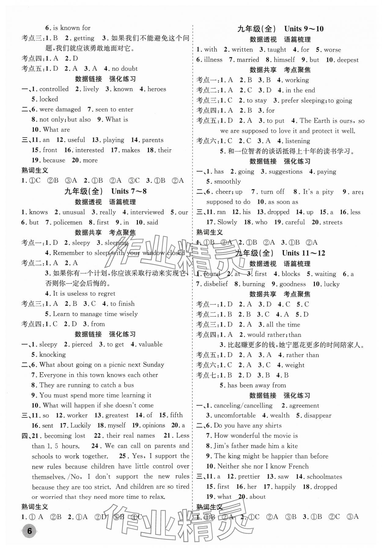 2024年中考大數(shù)據(jù)英語中考河北專版&nbsp;參考答案第6頁