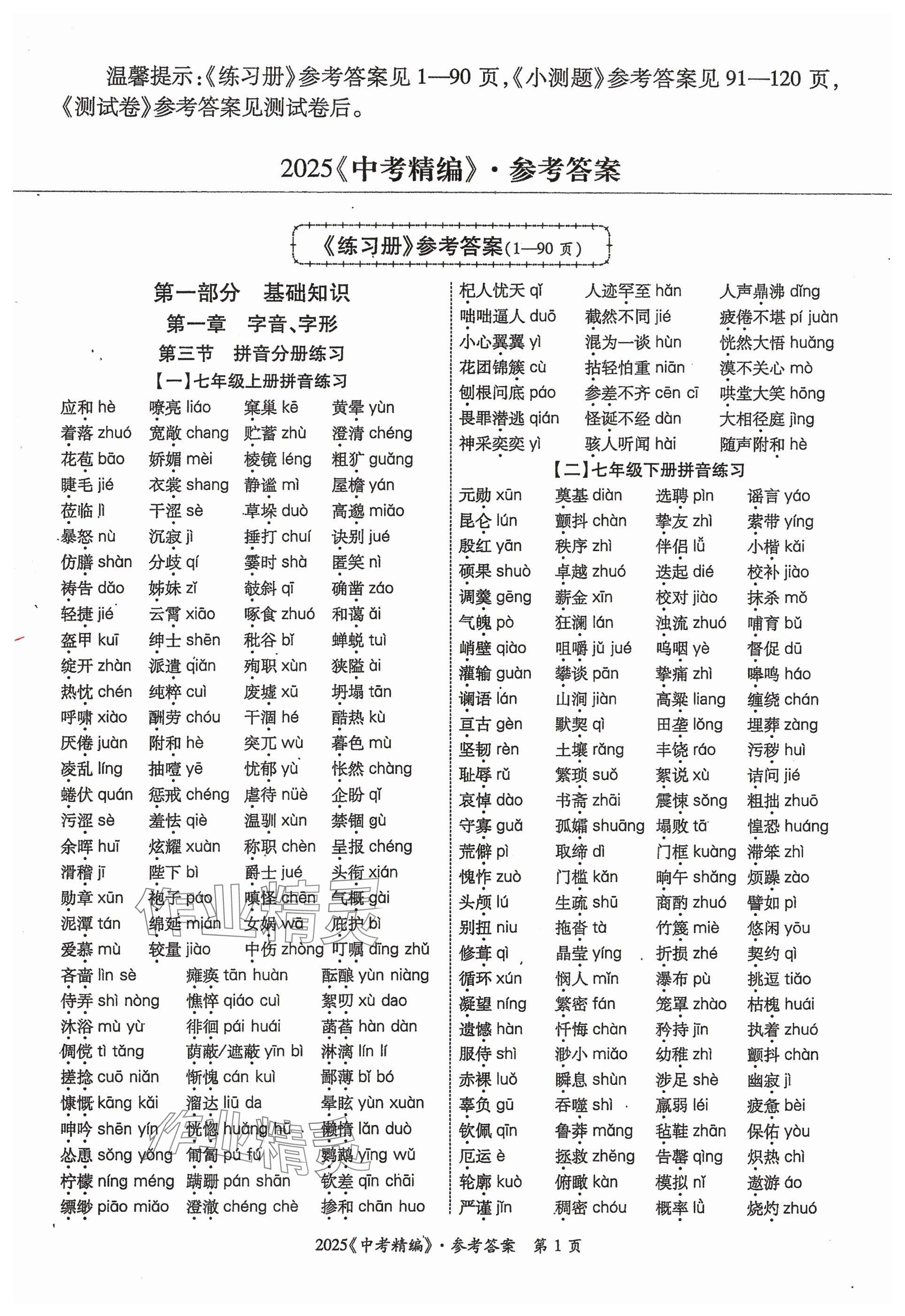 2025年中考精編語文廣東經濟出版社 參考答案第1頁