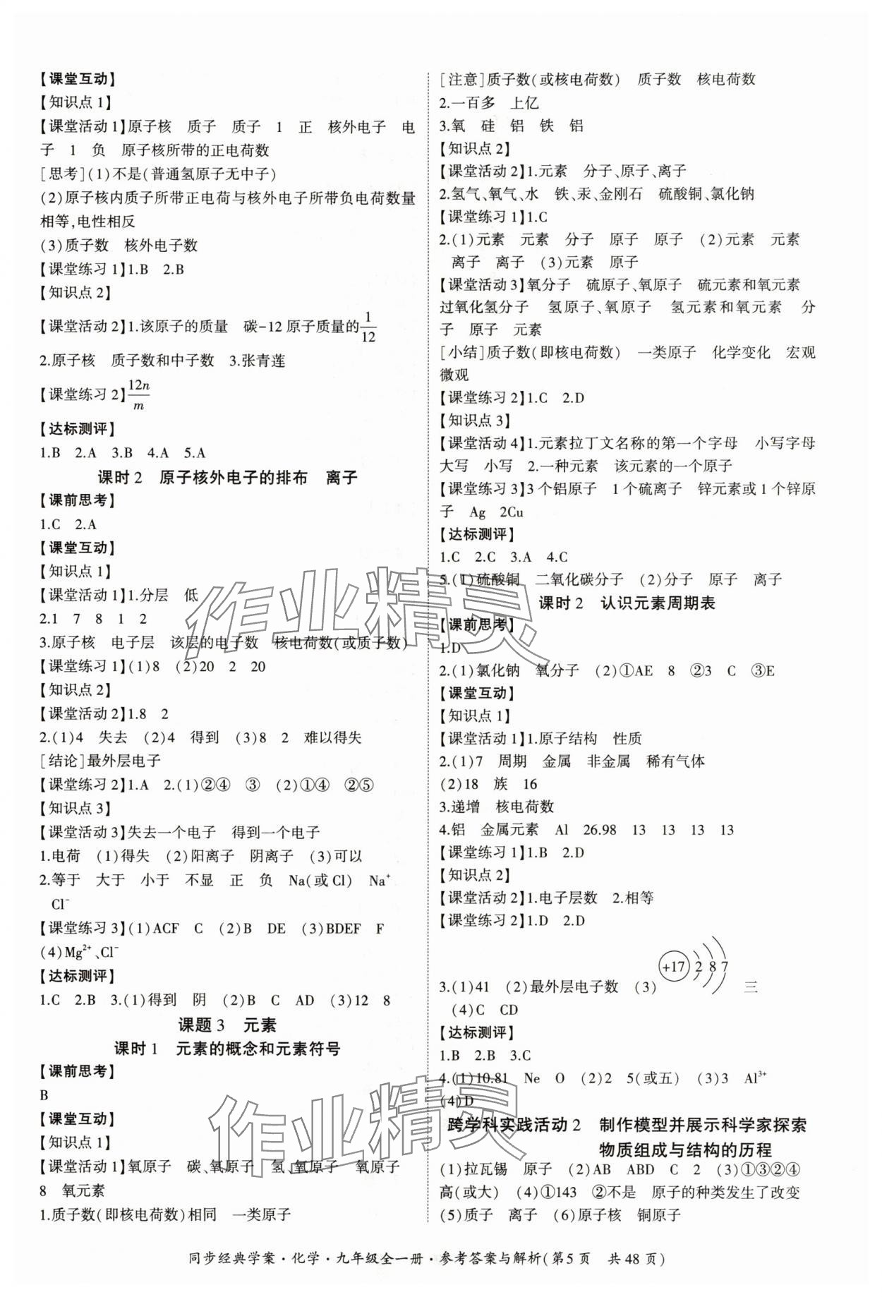 2025年同步经典学案九年级化学全一册人教版 第5页
