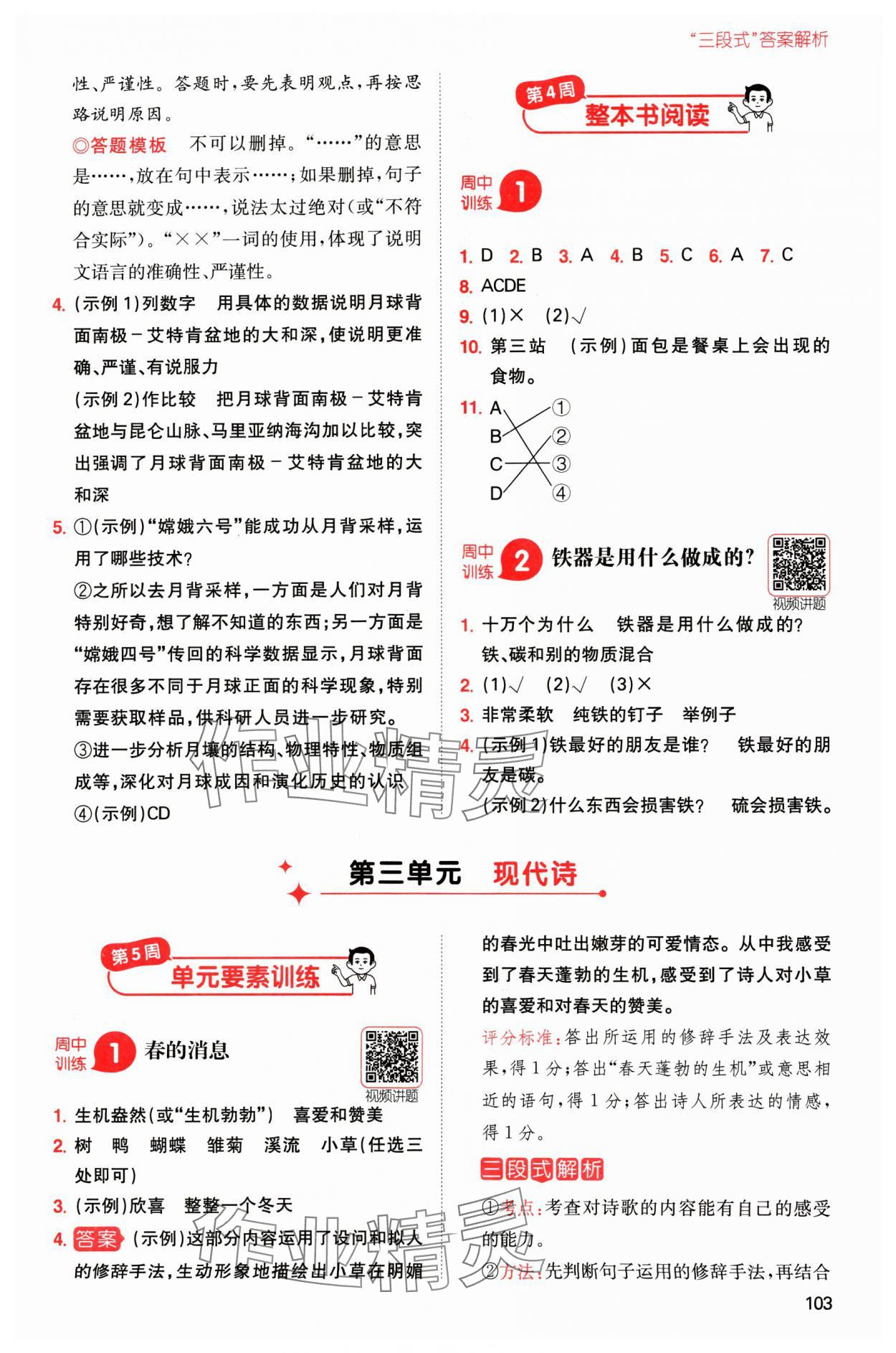 2025年一本小学语文同步阅读四年级下册人教版 参考答案第7页