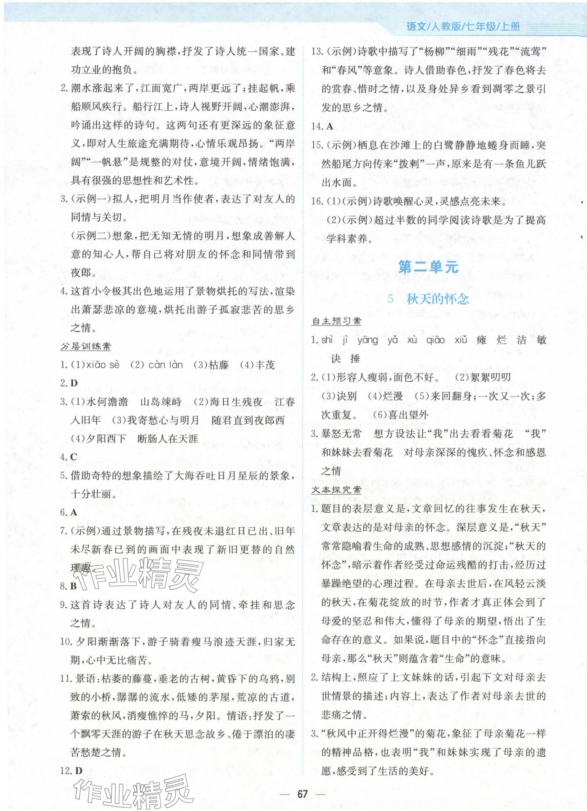 2024年新編基礎(chǔ)訓(xùn)練七年級(jí)語(yǔ)文上冊(cè)人教版 第3頁(yè)