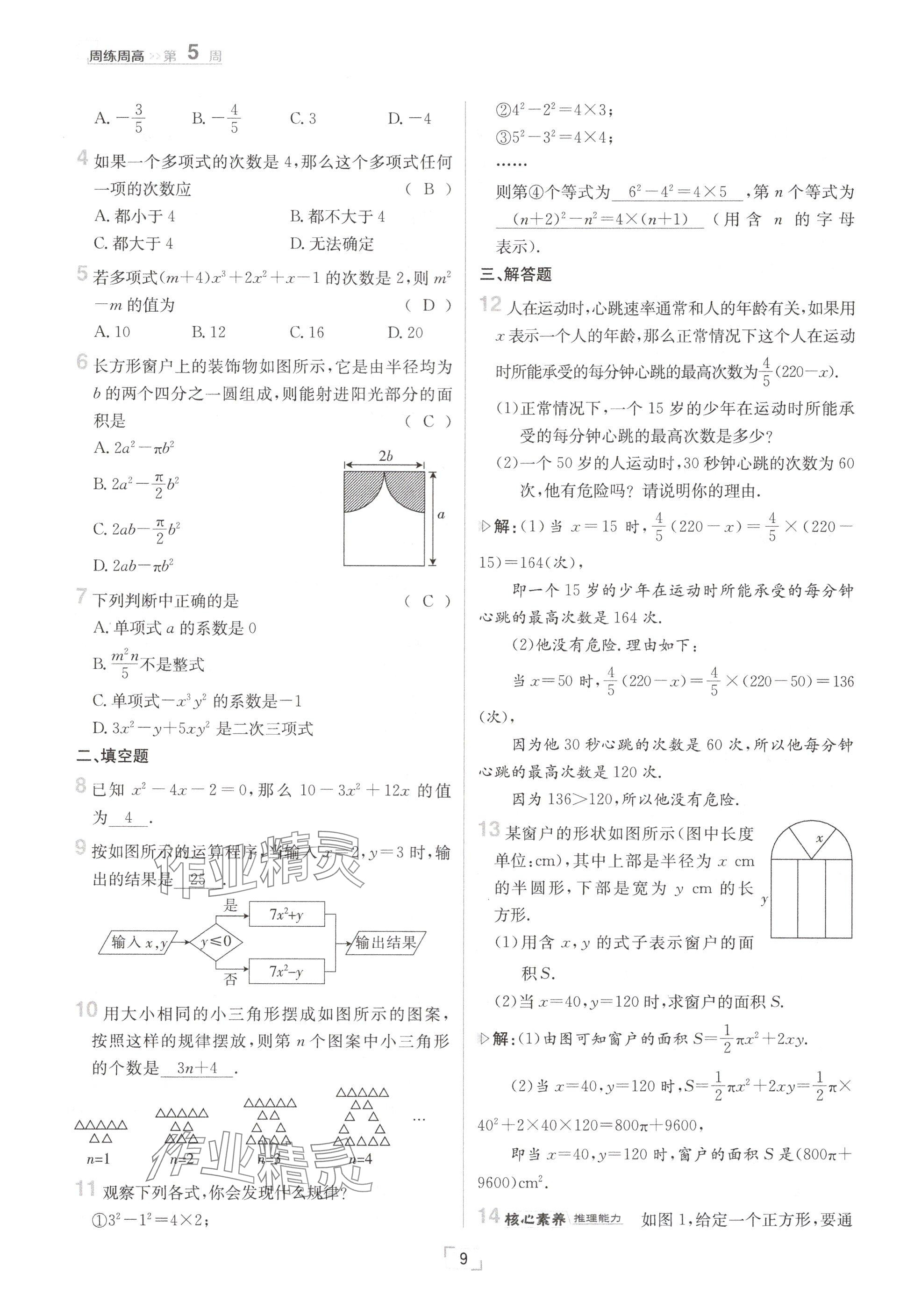 2024年日清周练七年级数学上册沪科版 参考答案第9页