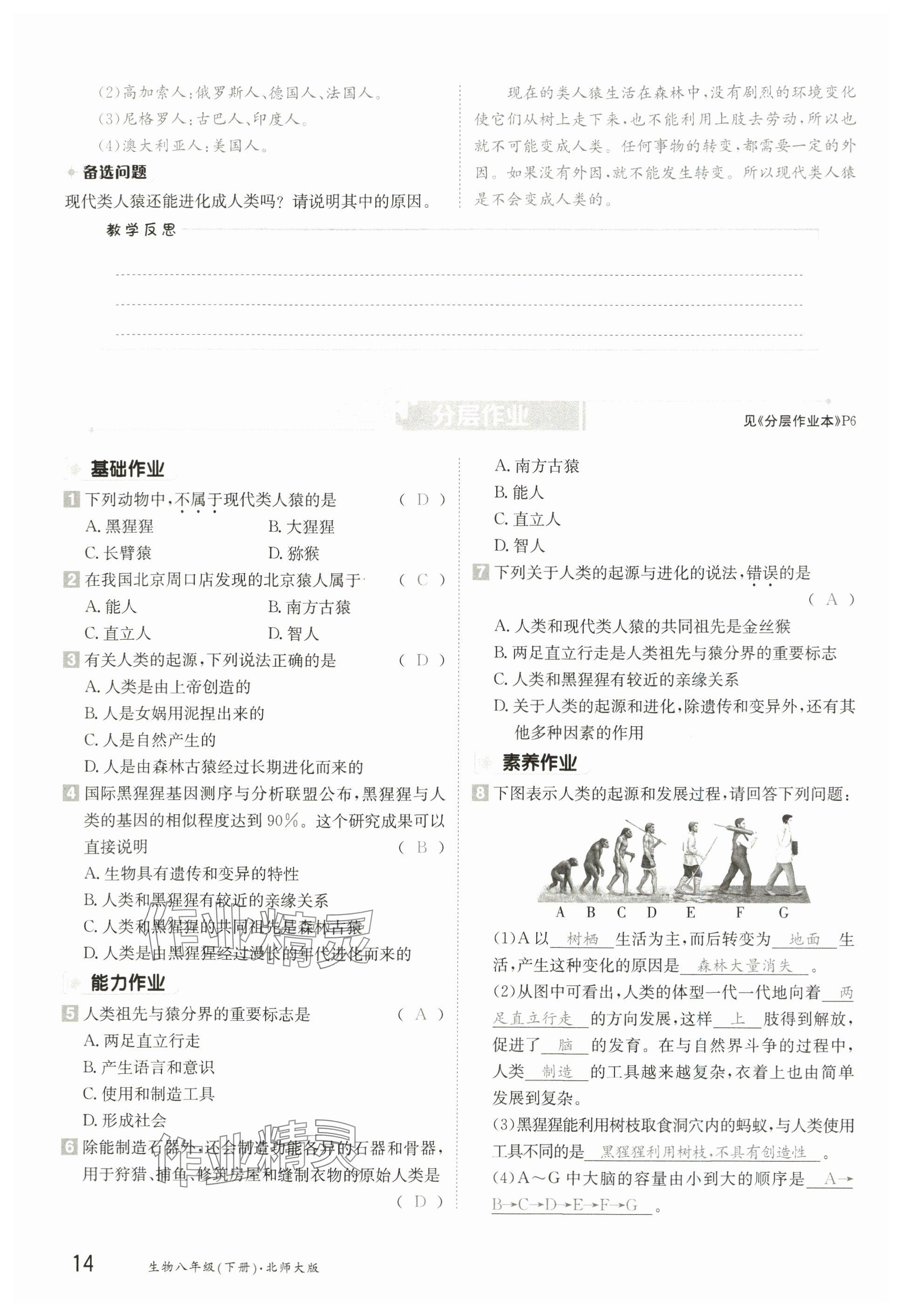 2025年金太陽導(dǎo)學(xué)案八年級生物下冊北師大版 參考答案第13頁