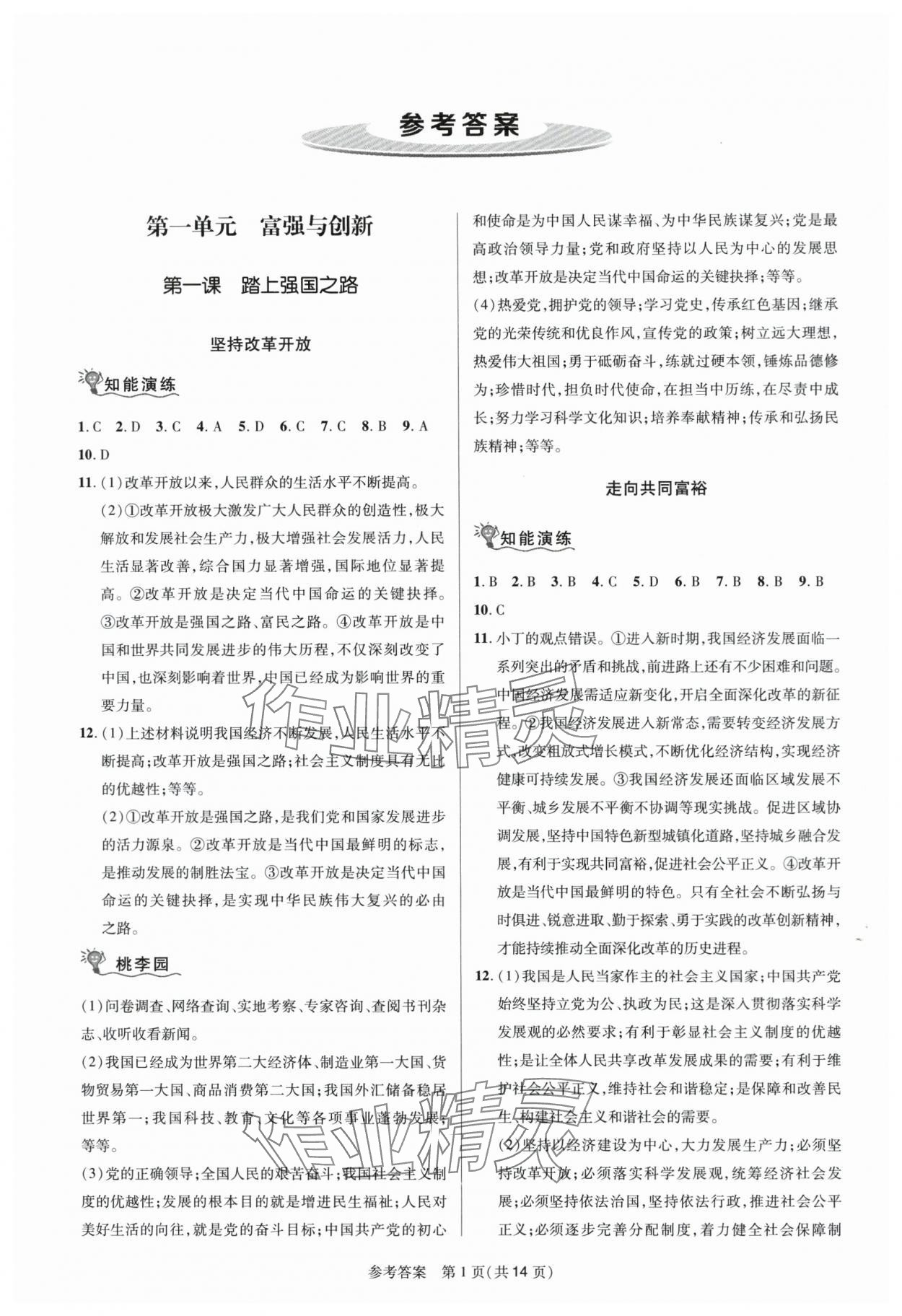 2023年課堂精練九年級(jí)道德與法治上冊(cè)人教版河南專版 第1頁