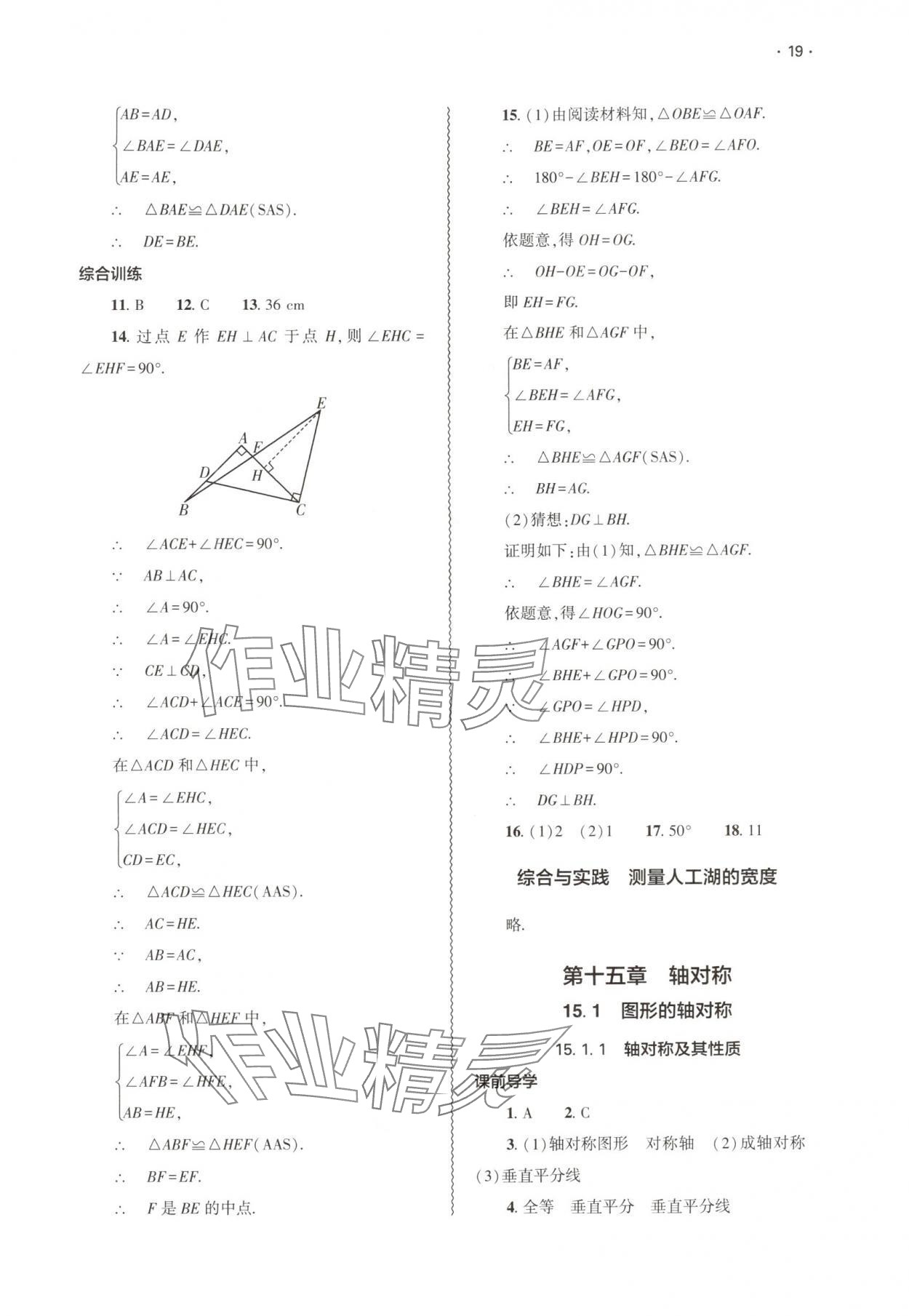 2025年基础训练大象出版社八年级数学上册人教版 第19页