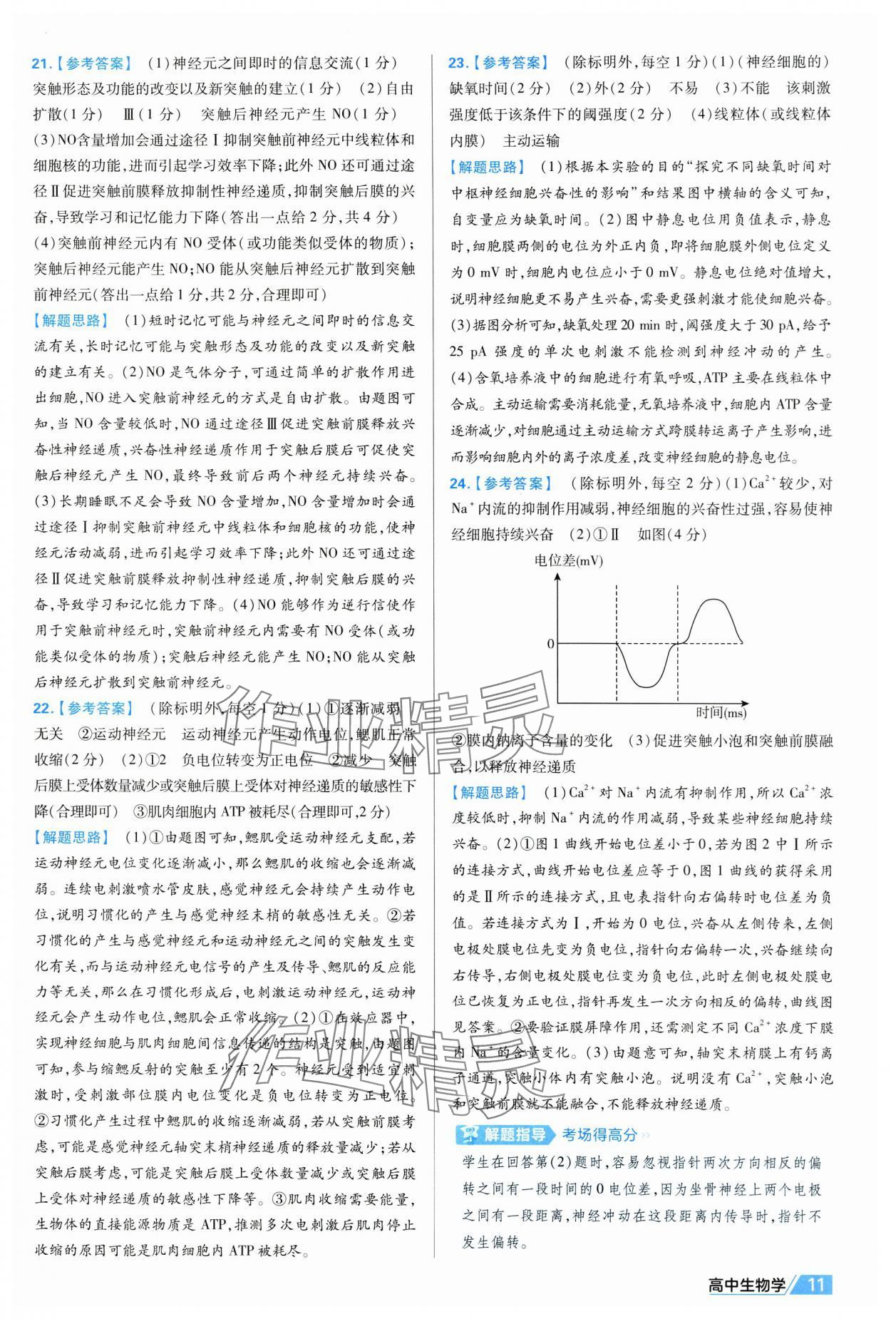 2025年金考卷活頁題選高中生物選擇性必修1人教版 第11頁