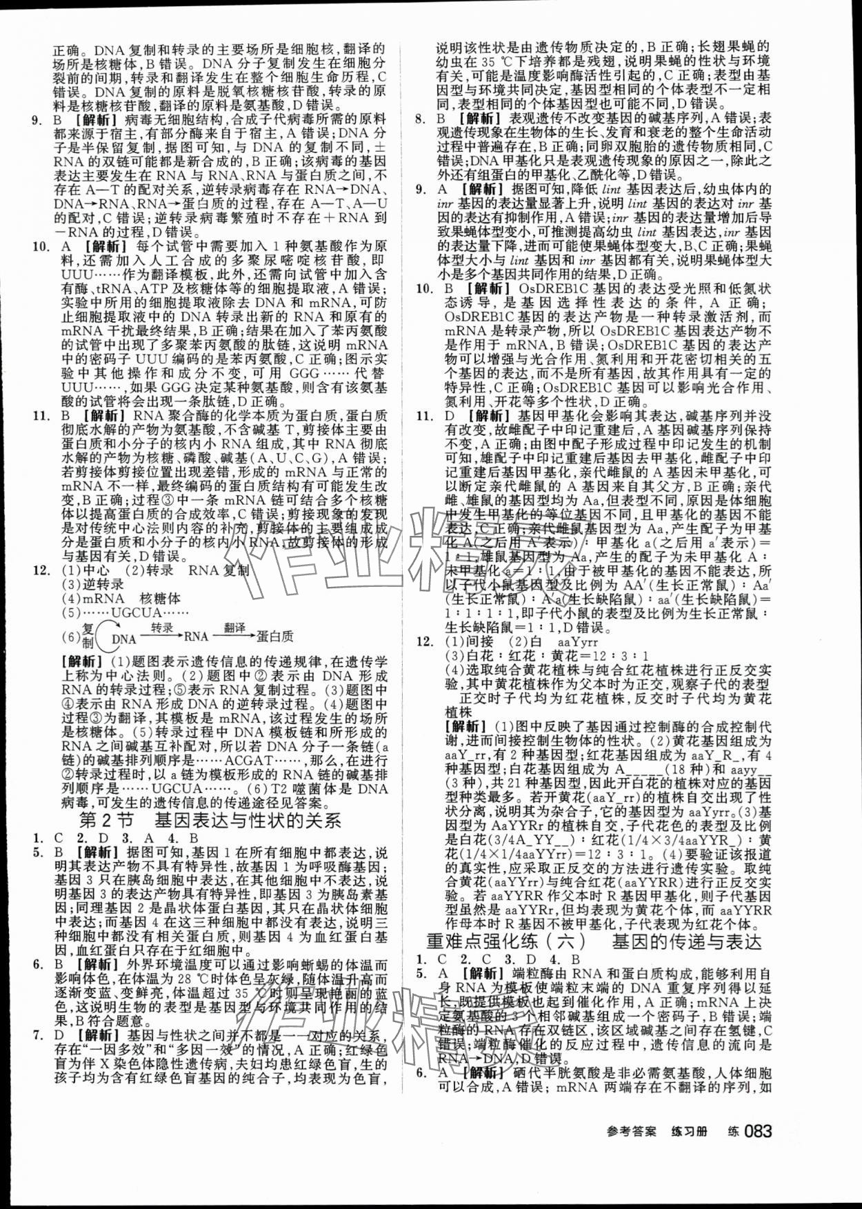 2024年全品學練考高中生物必修2人教版 第17頁