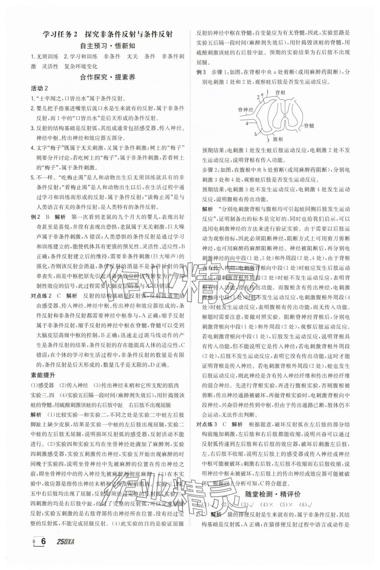 2025年金太陽導(dǎo)學(xué)案高中生物選擇性必修1人教版 參考答案第6頁