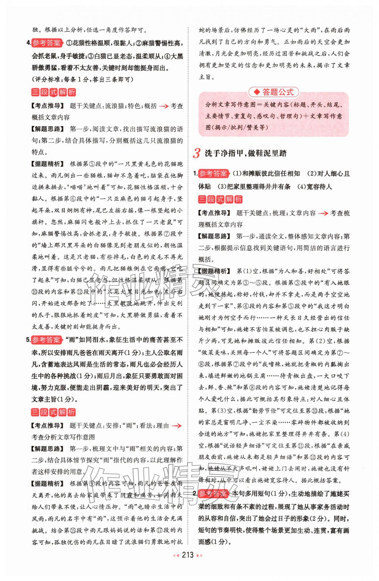 2026年一本中考现代文阅读技能训练100篇 第3页