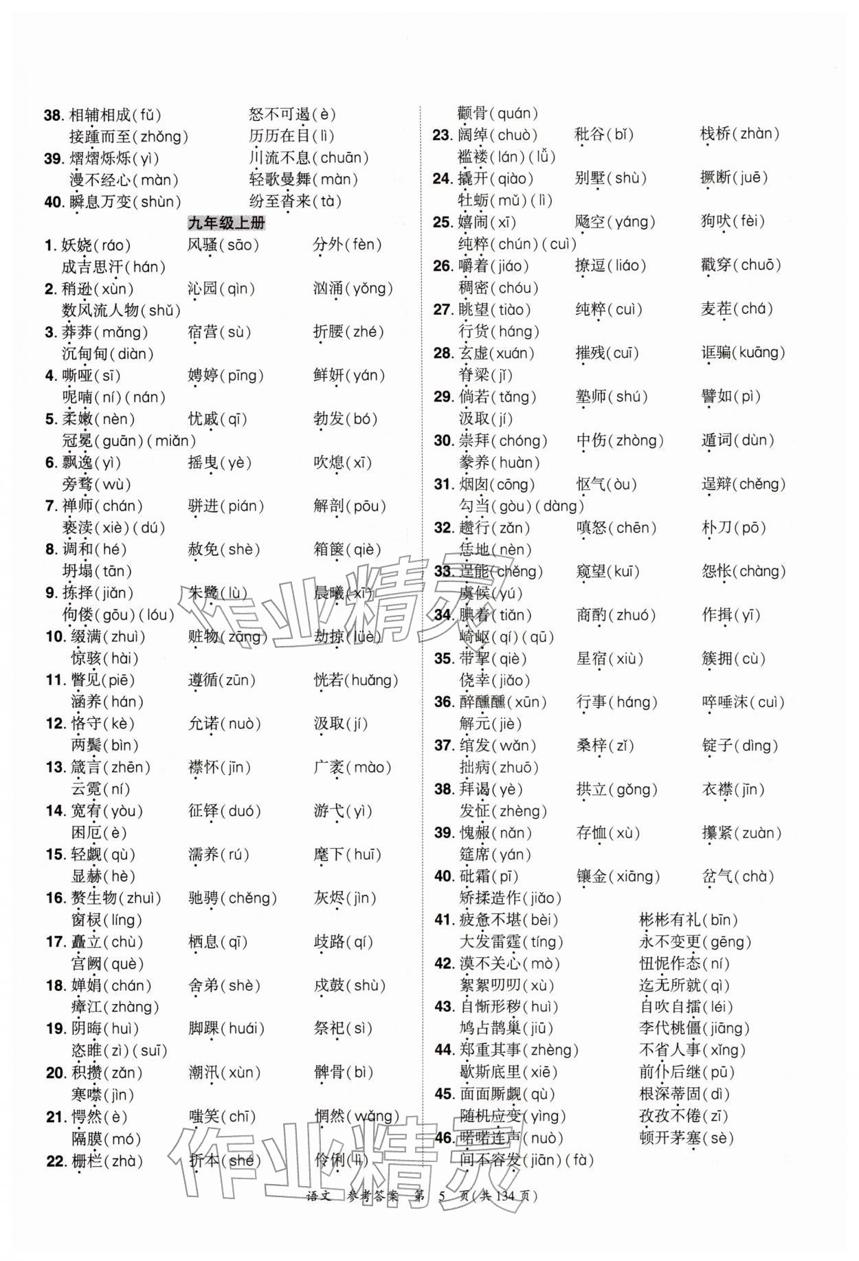 2026年中考高效复习学与教语文广州专版&nbsp;参考答案第5页