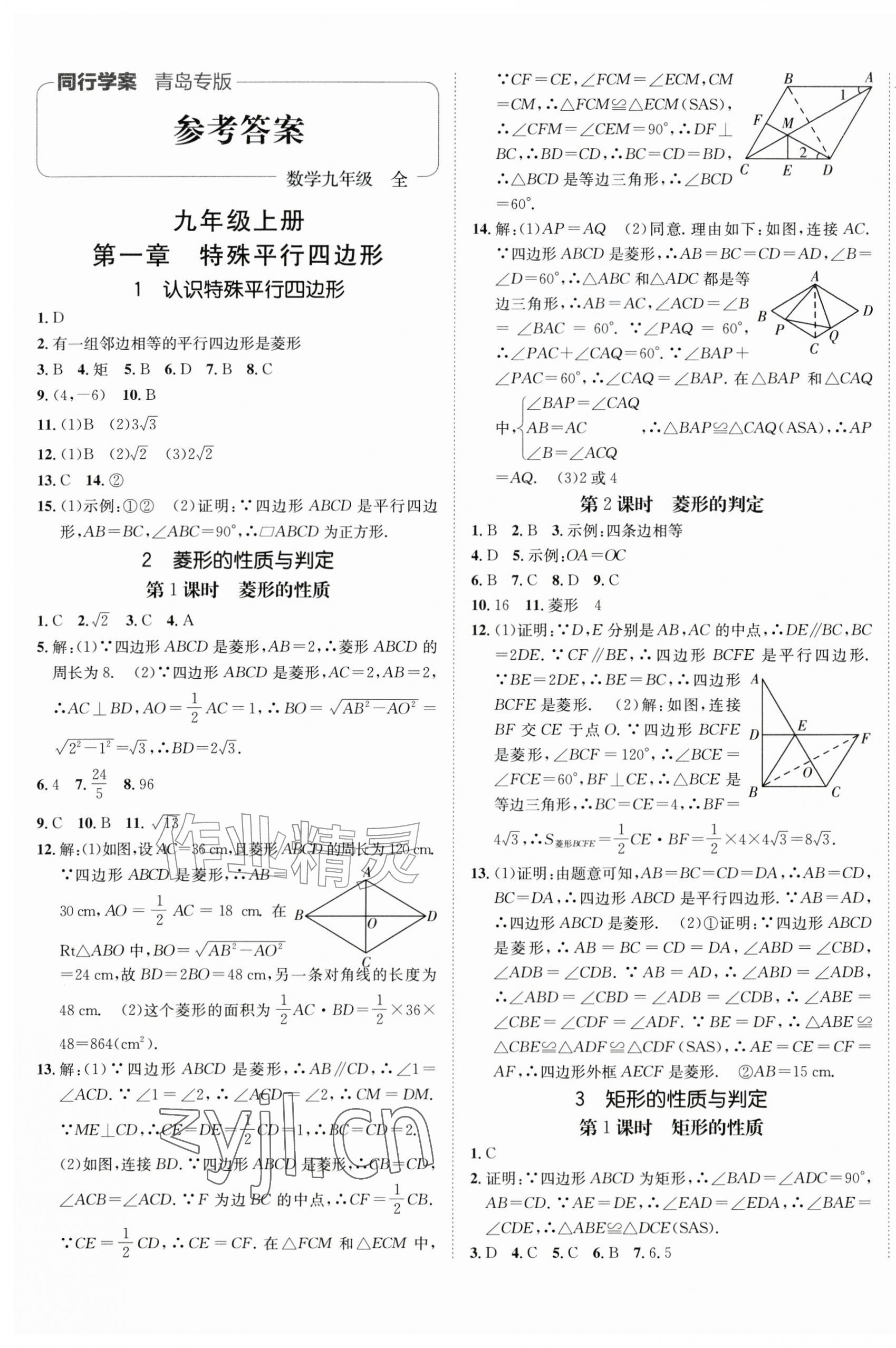 2026年同行学案学练测九年级数学全一册北师大版青岛专版&nbsp;第1页
