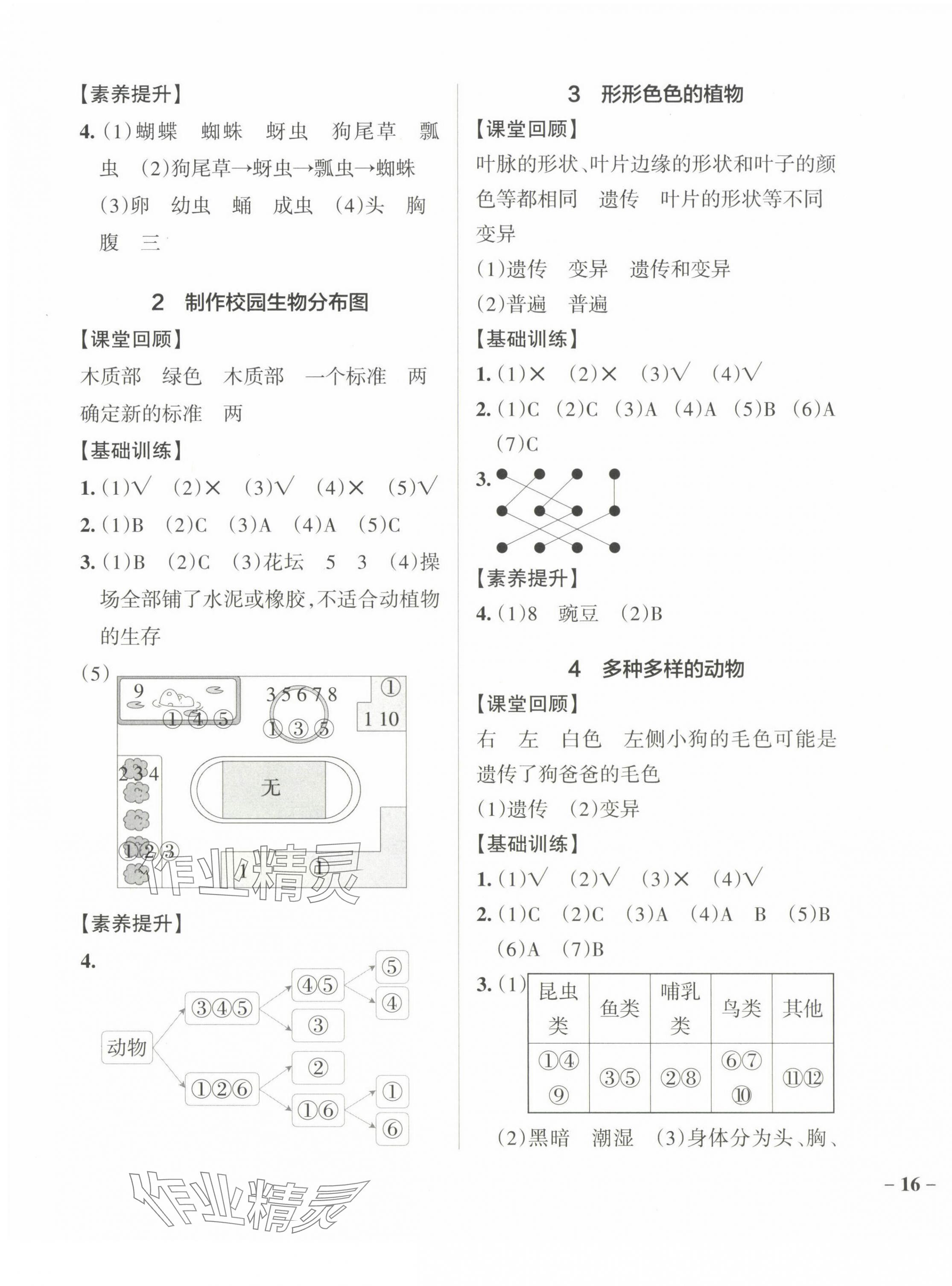 2024年小學(xué)學(xué)霸作業(yè)本六年級(jí)科學(xué)下冊(cè)教科版 參考答案第3頁(yè)