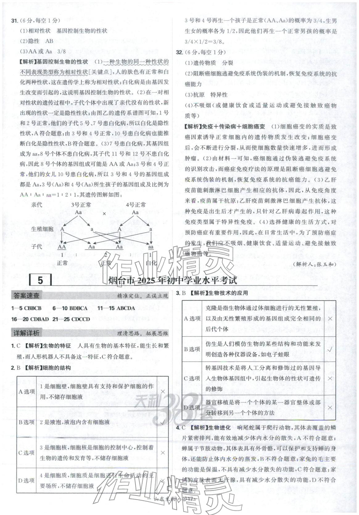2026年天利38套中考试题精选八年级生物山东专版 第17页