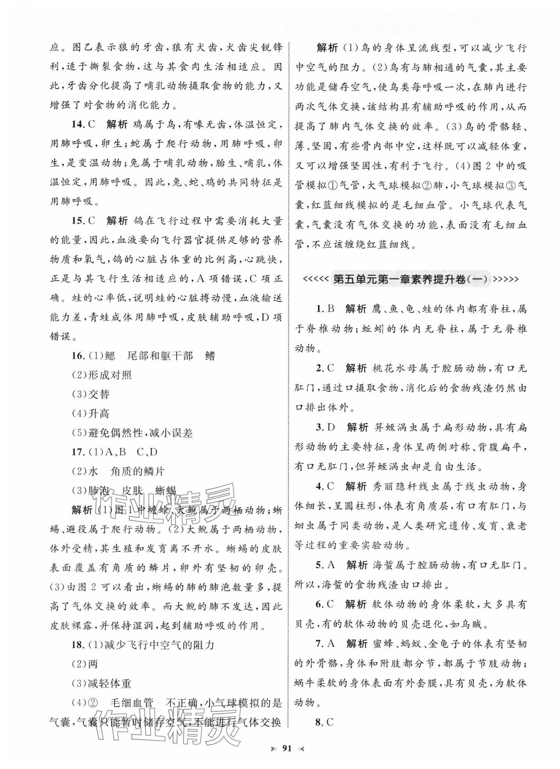 2024年學習目標與檢測同步測試卷八年級生物上冊人教版 第3頁