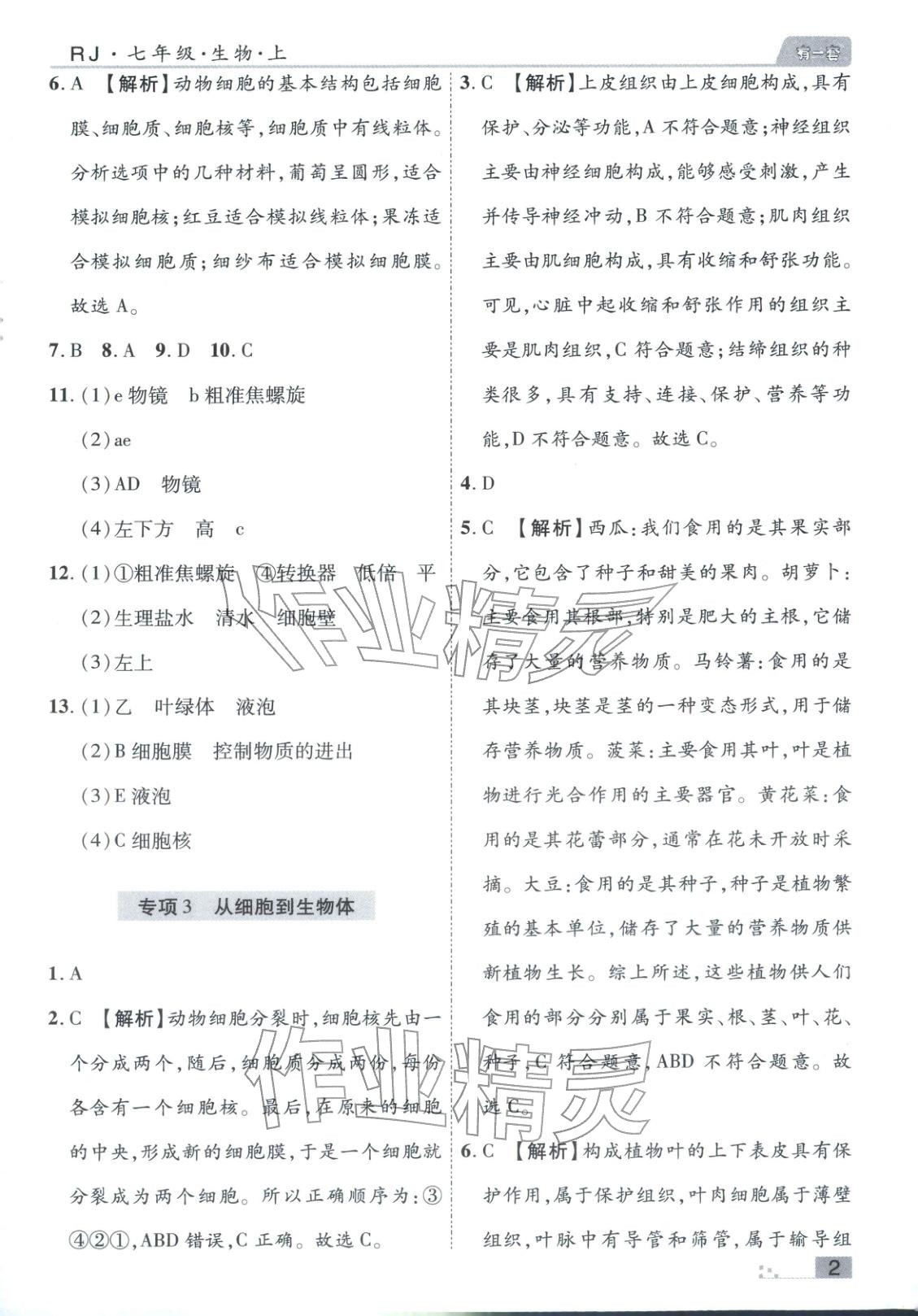 2025年有一套初中各地市期末真题七年级生物上册人教版 参考答案第2页