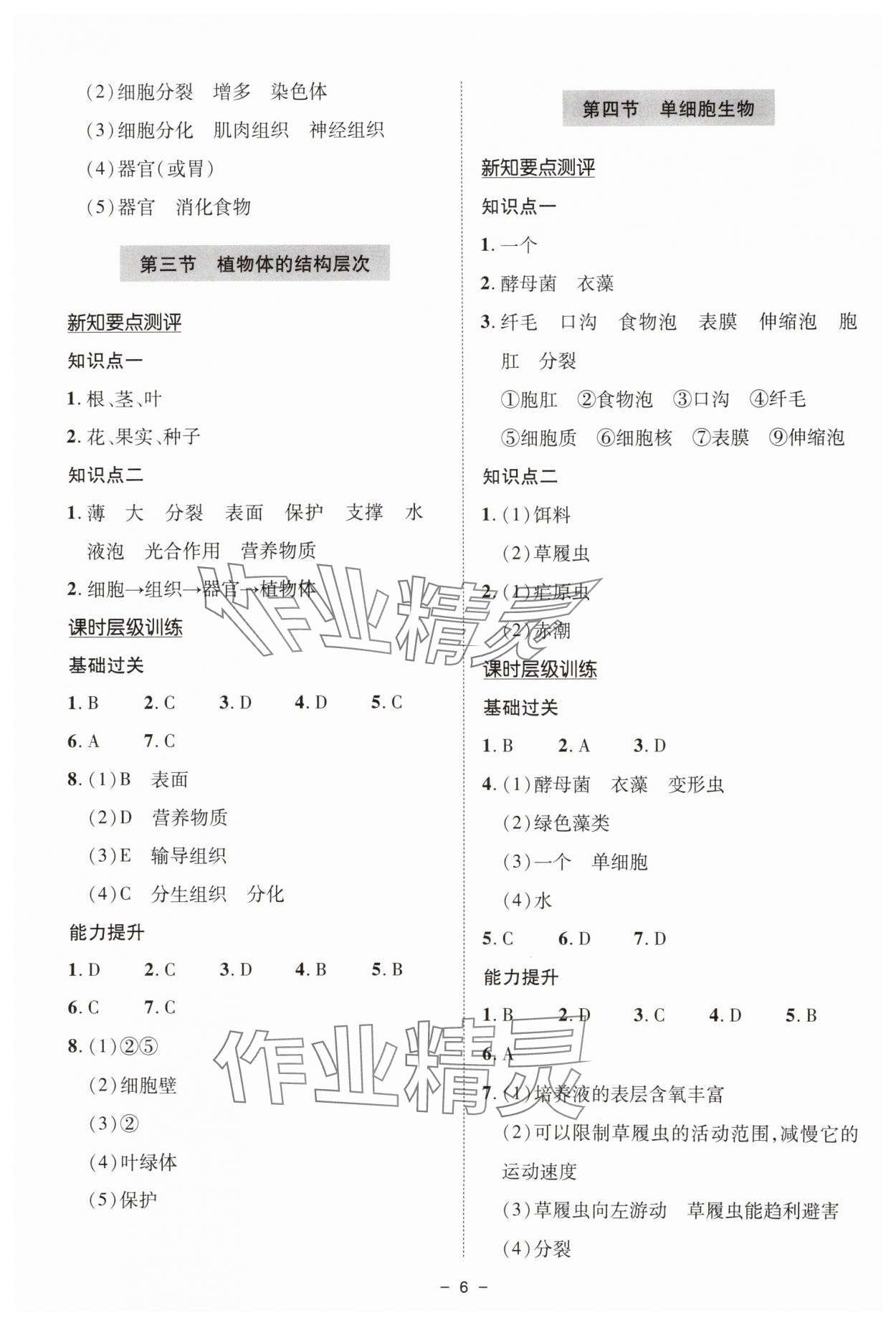 2025年新课堂学习与探究七年级生物上册人教版&nbsp;参考答案第6页