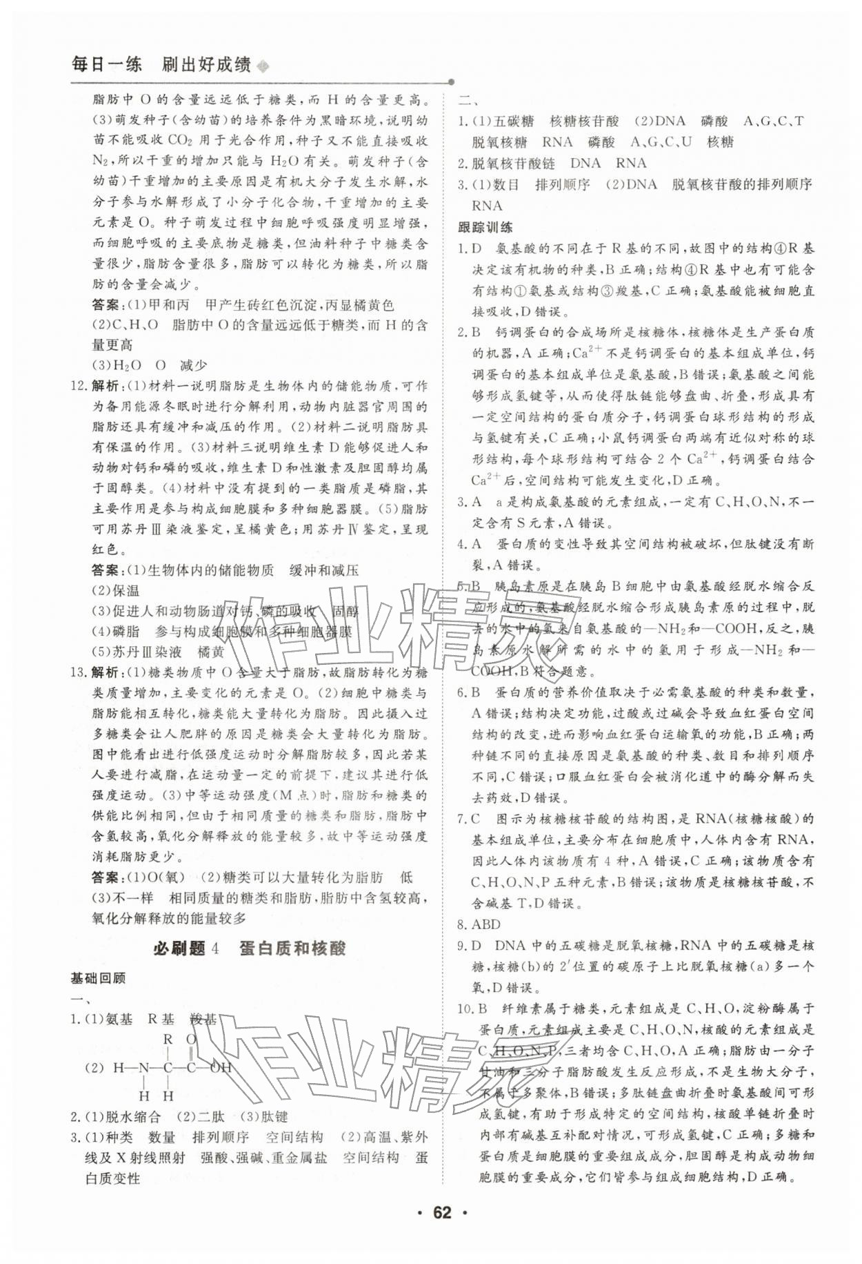 2026年高中假日必刷题高一生物&nbsp;第4页