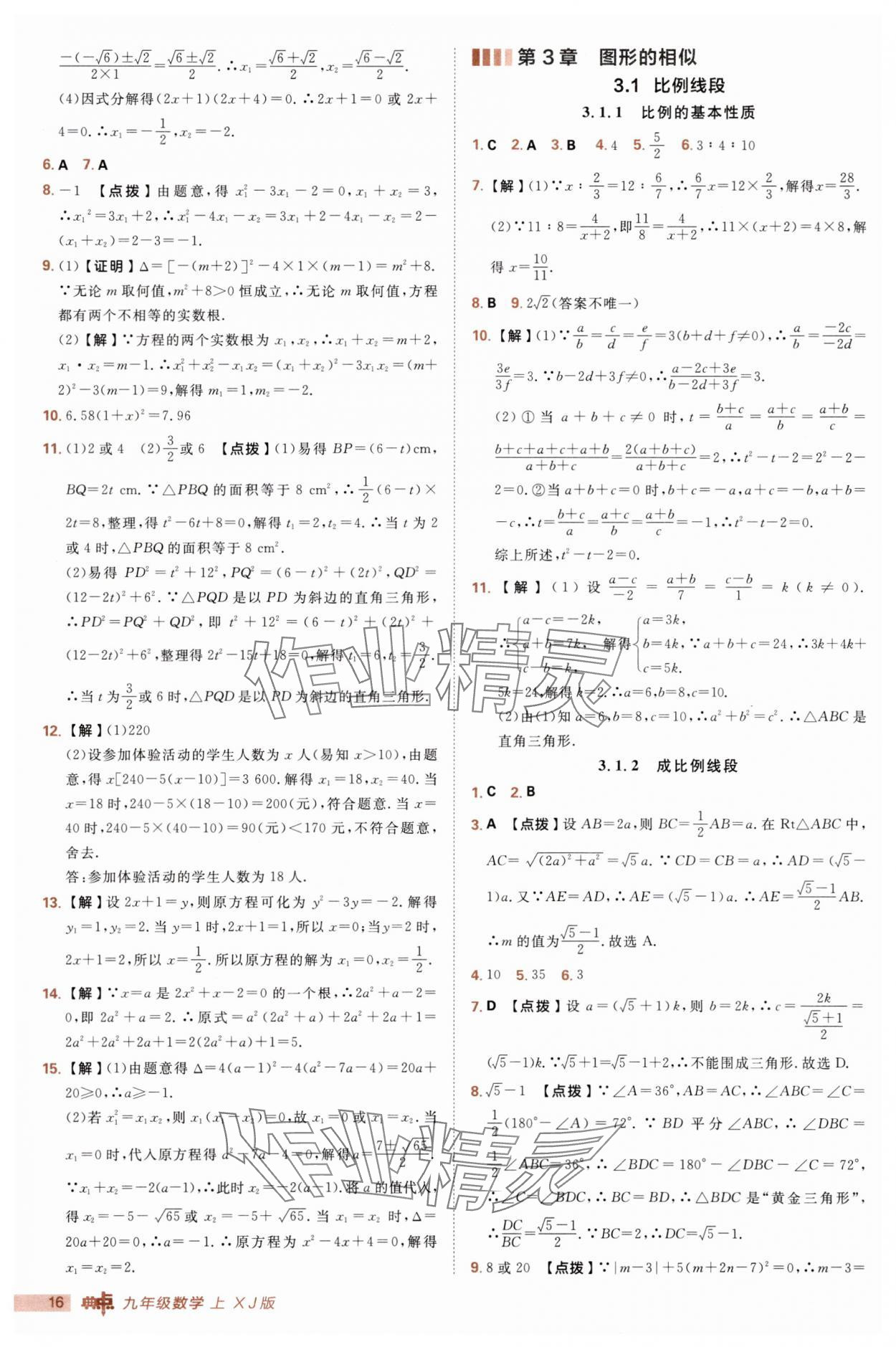 2025年綜合應(yīng)用創(chuàng)新題典中點(diǎn)九年級(jí)數(shù)學(xué)上冊(cè)湘教版 第16頁
