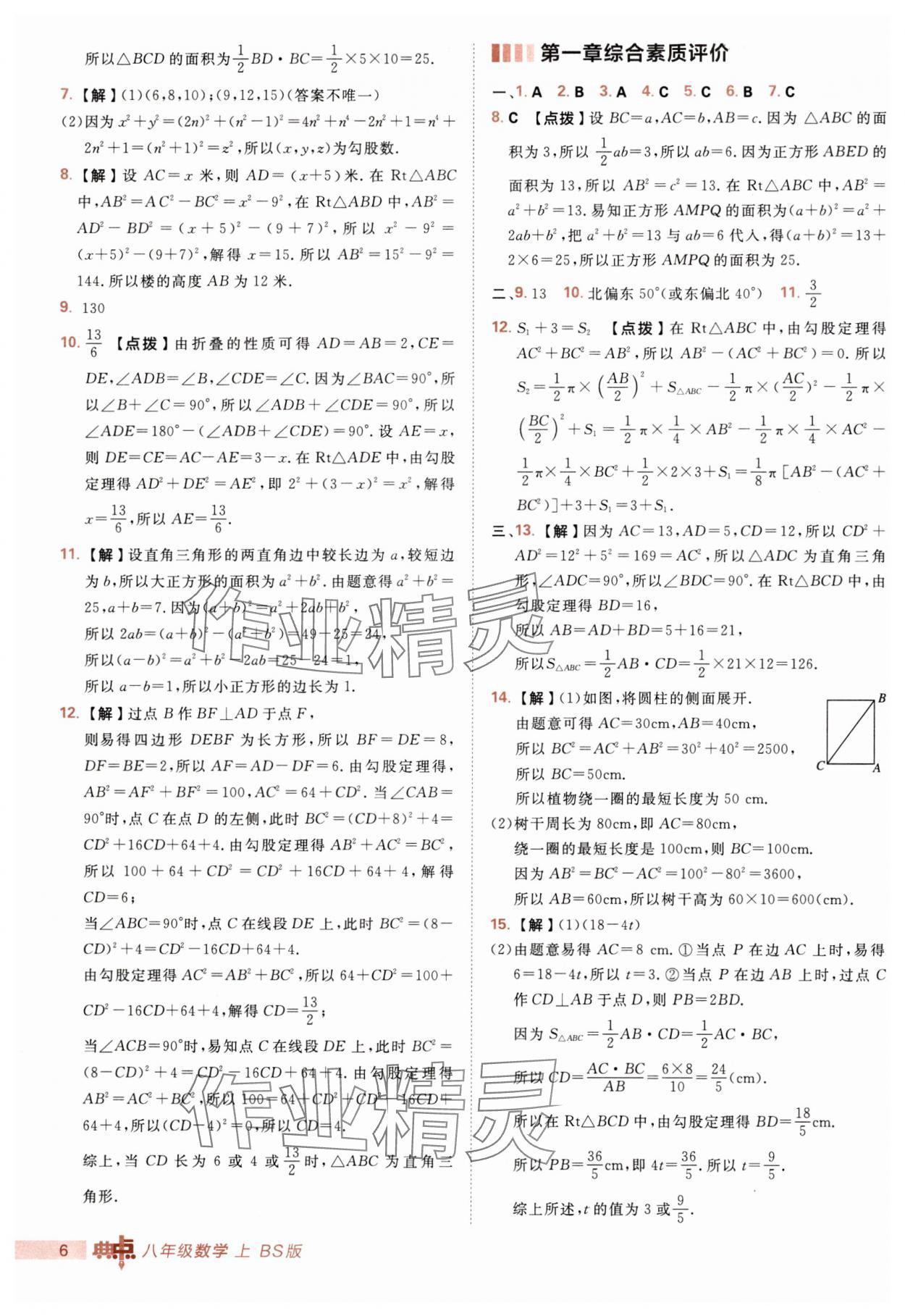 2025年综合应用创新题典中点八年级数学上册北师大版 第6页