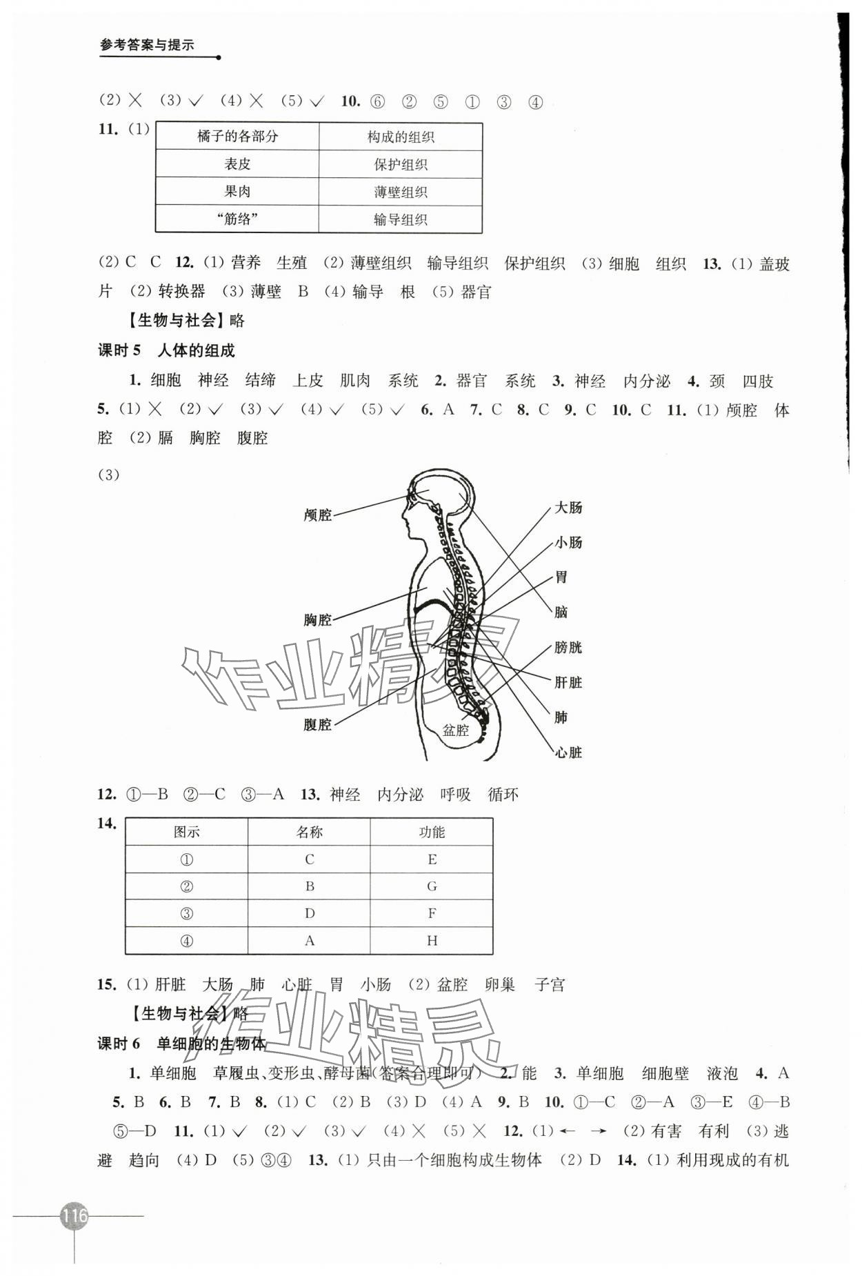 2024年课课练七年级生物下册苏科版 第2页