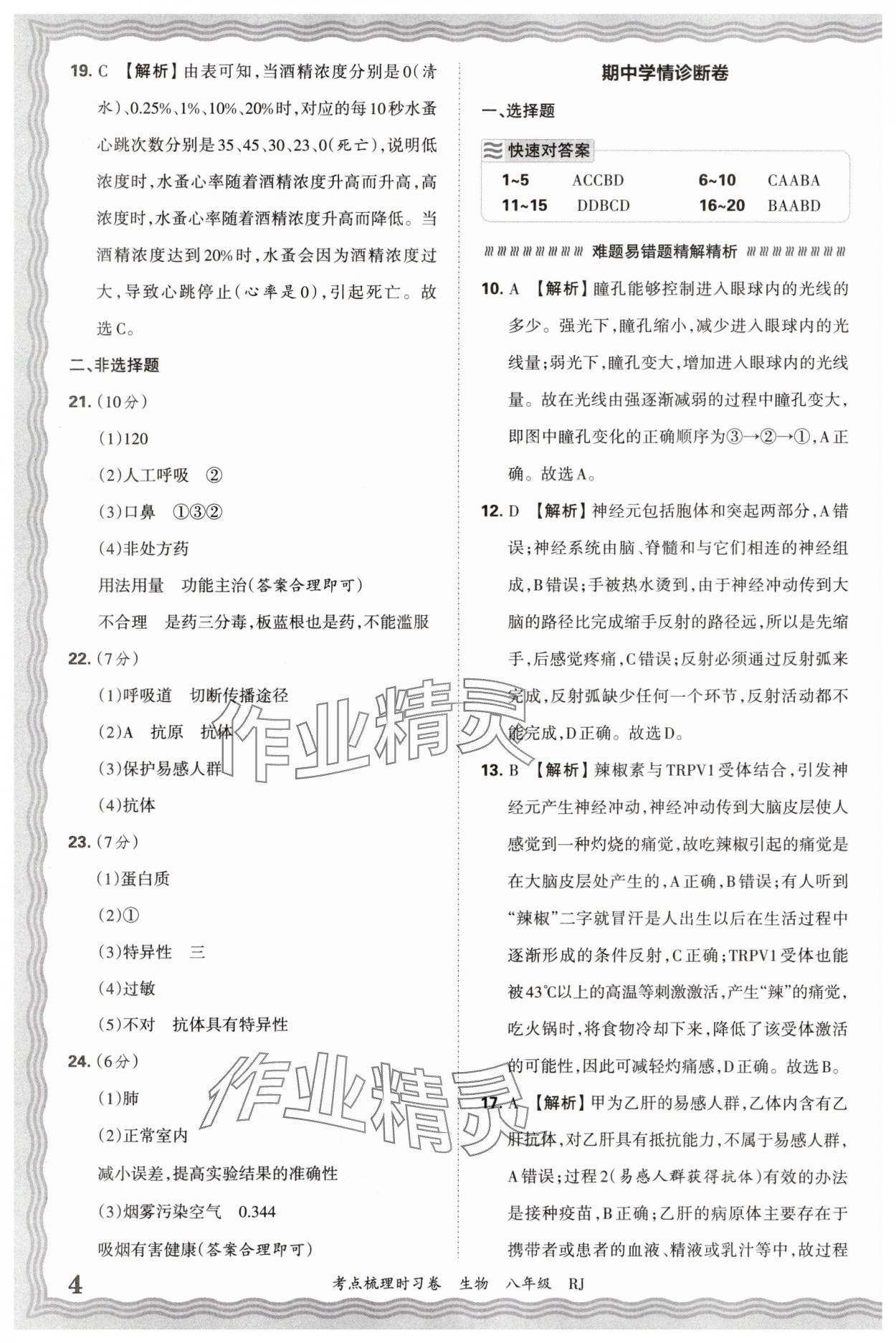 2026年王朝霞考點梳理時習(xí)卷八年級生物人教版 參考答案第4頁